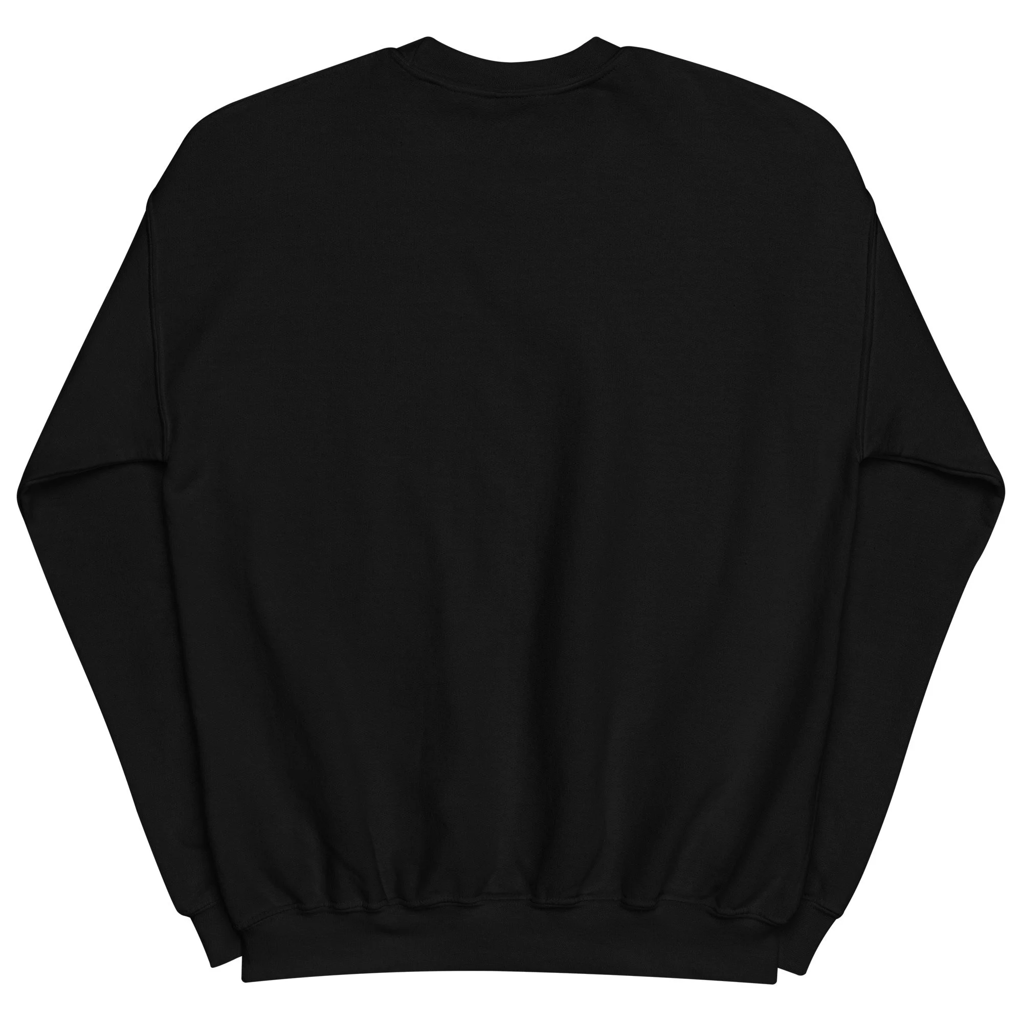 unisex-crew-neck-sweatshirt-black-back-6a5d6c25e363c.jpg