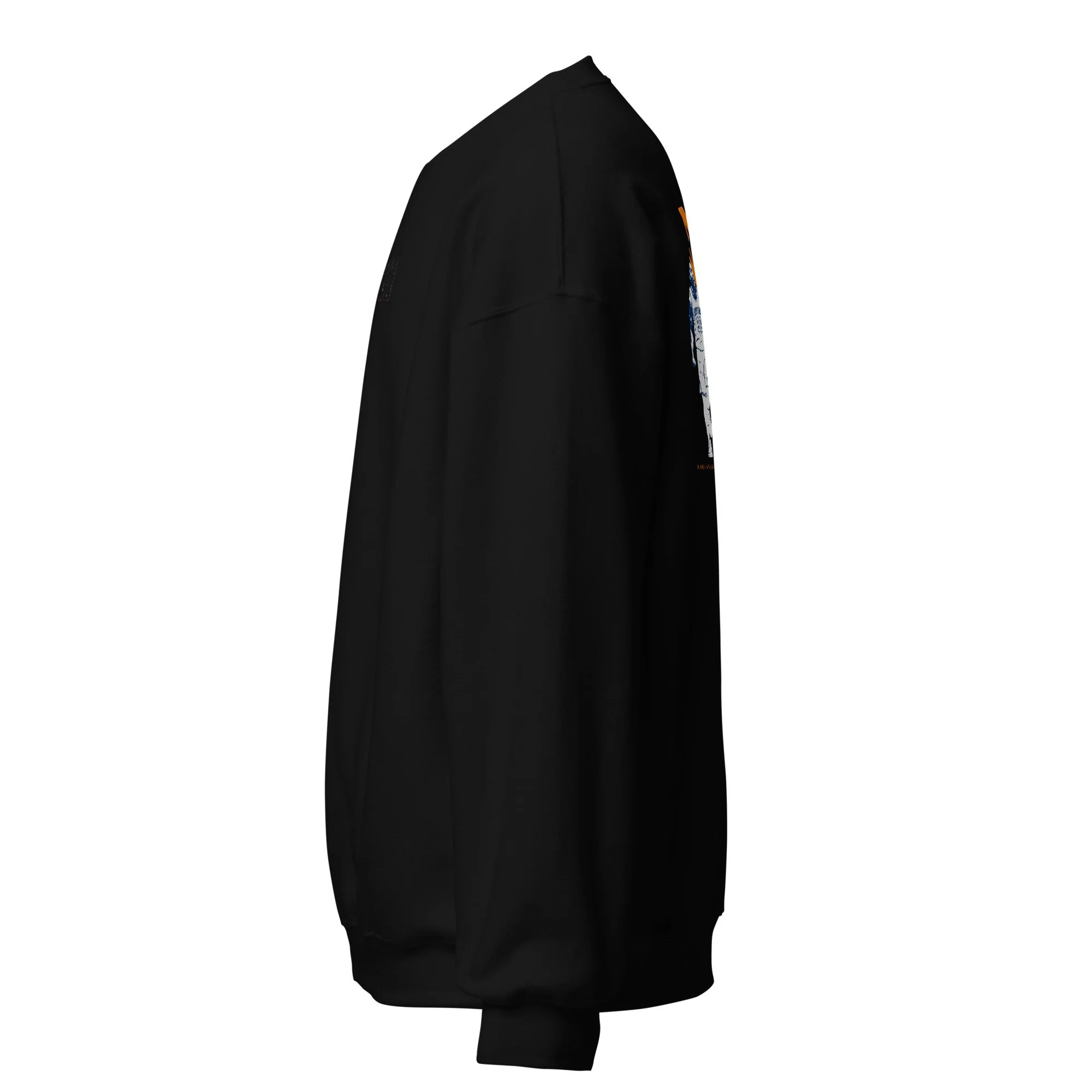 unisex-crew-neck-sweatshirt-black-left-6a5d763d93315.jpg