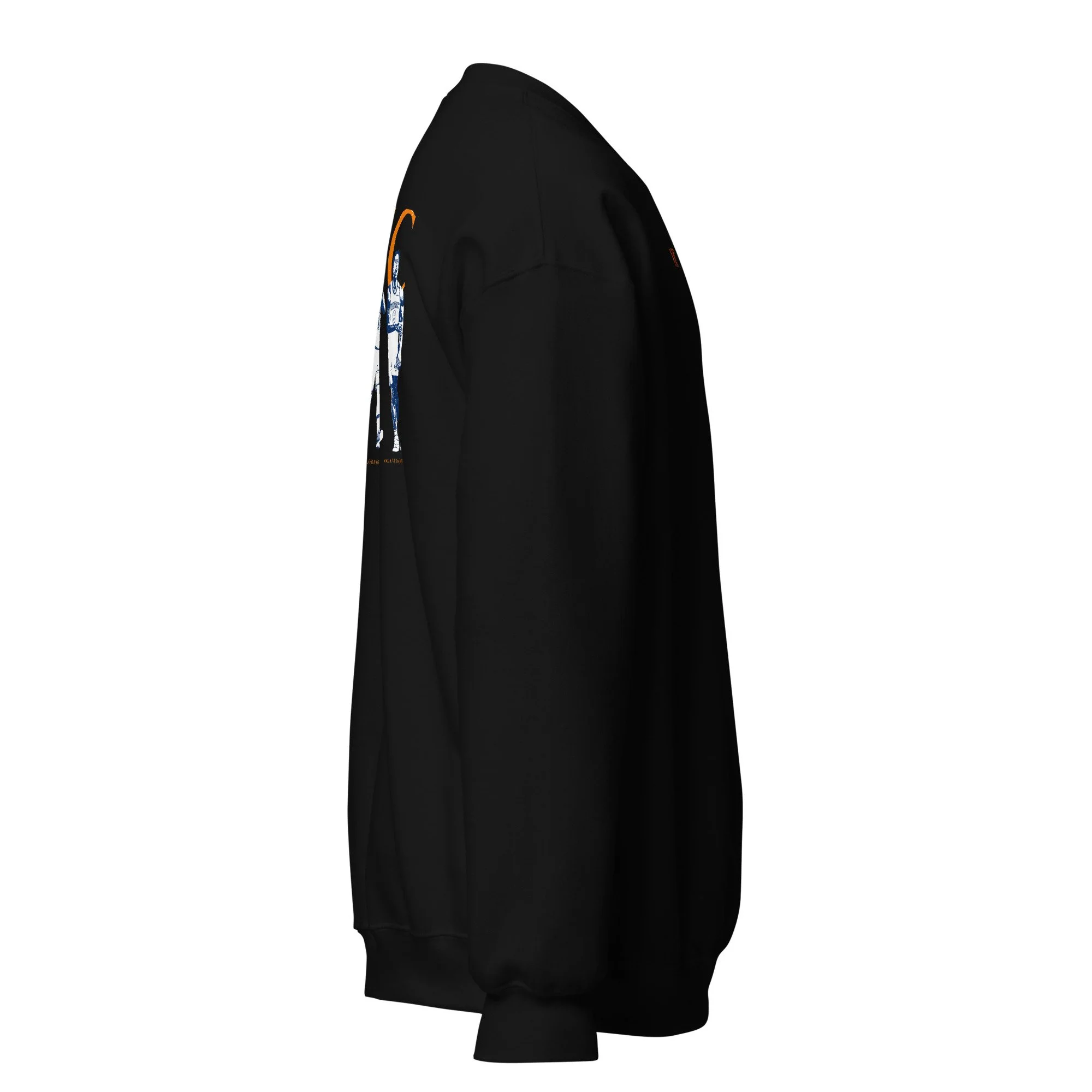 unisex-crew-neck-sweatshirt-black-right-6a5d763d938cb.jpg