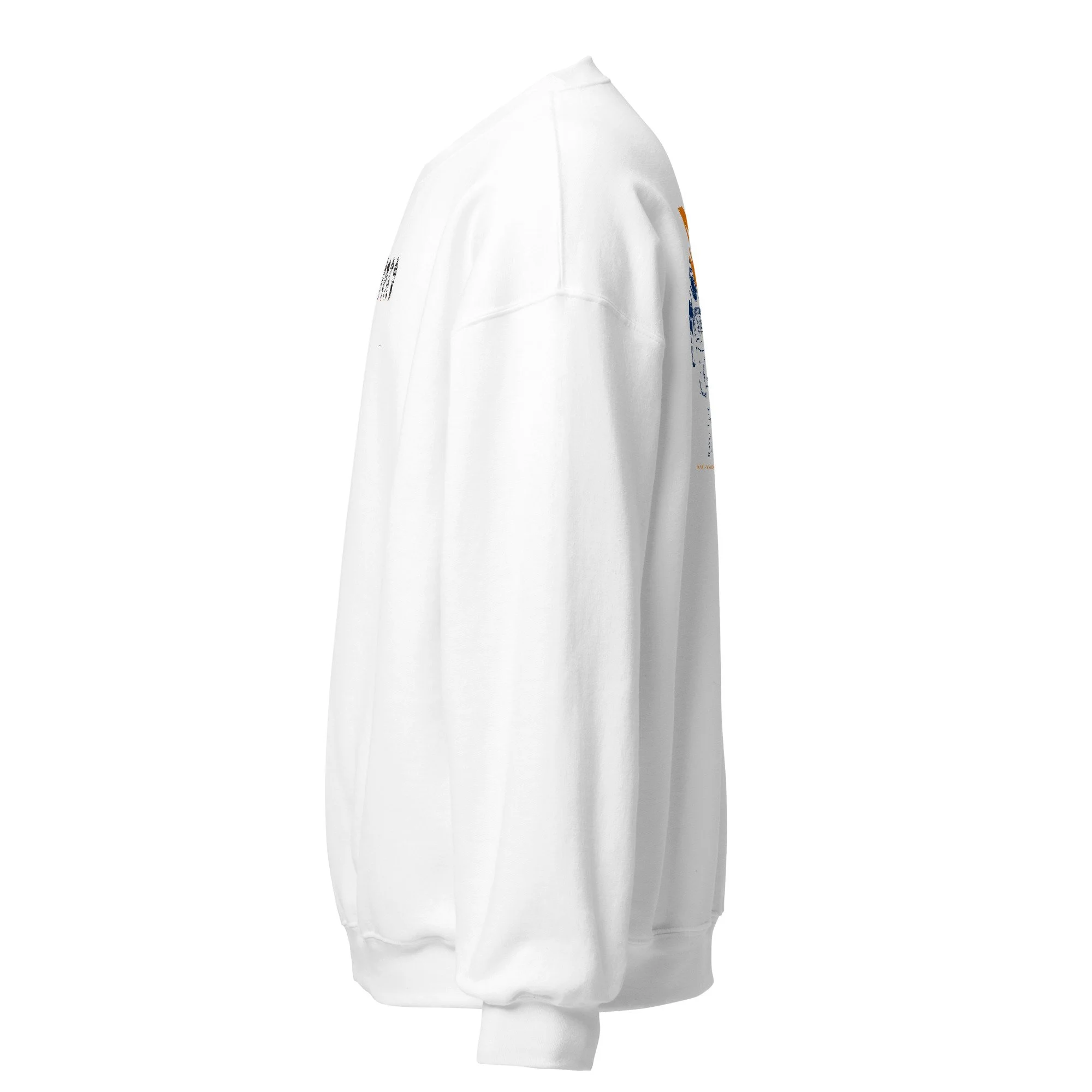 unisex-crew-neck-sweatshirt-white-left-6a5d763d933f4.jpg