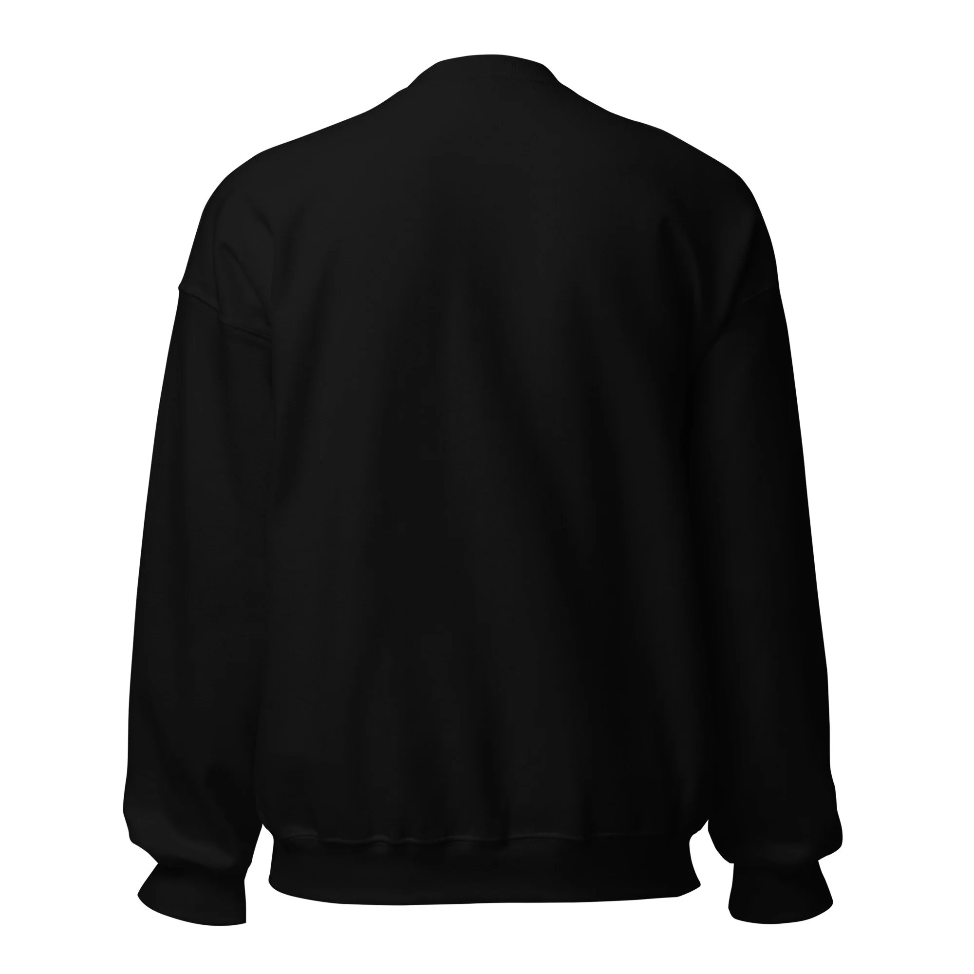 unisex-crew-neck-sweatshirt-black-back-6a5e595fdee25.jpg