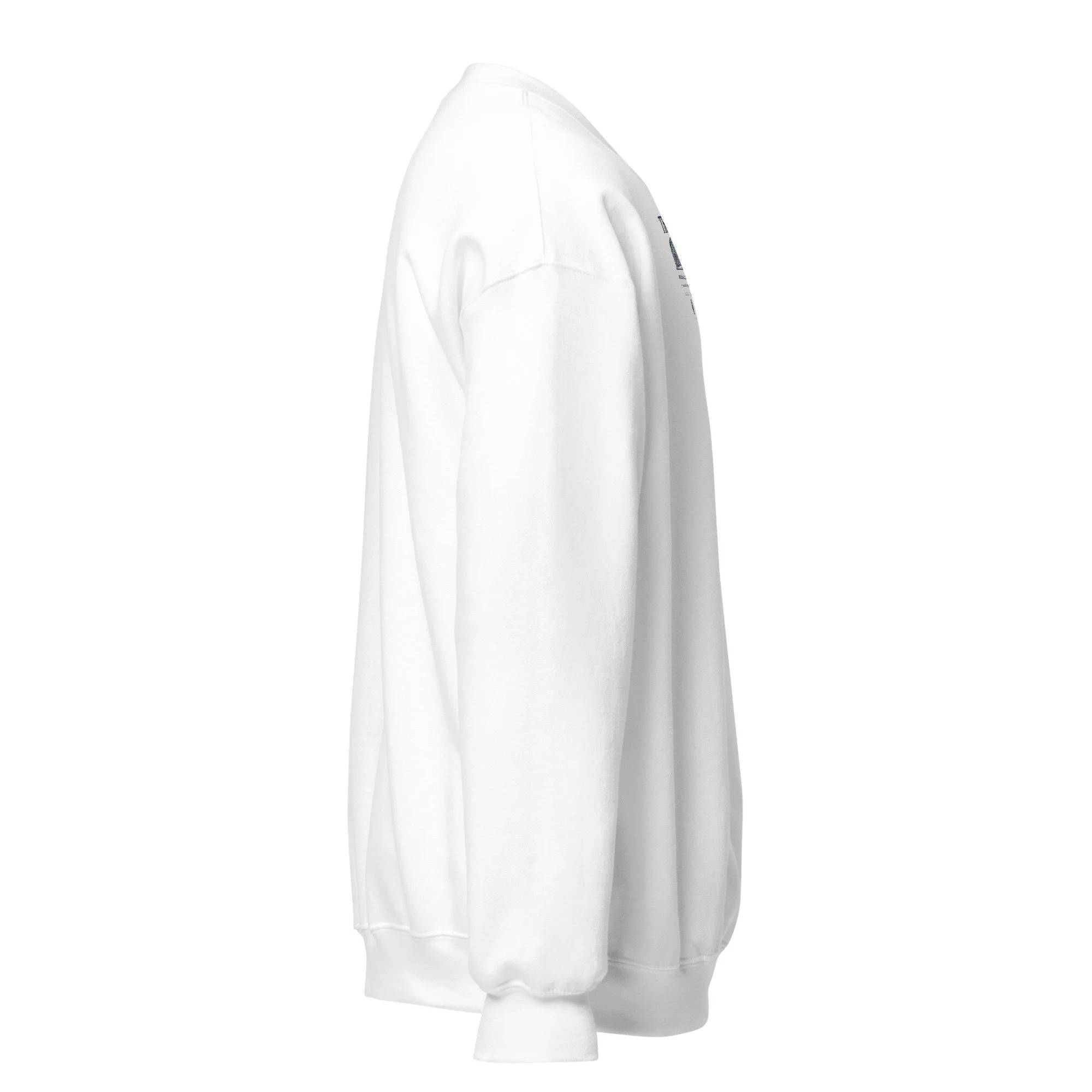 unisex-crew-neck-sweatshirt-white-right-6a5e595fe0a95.jpg