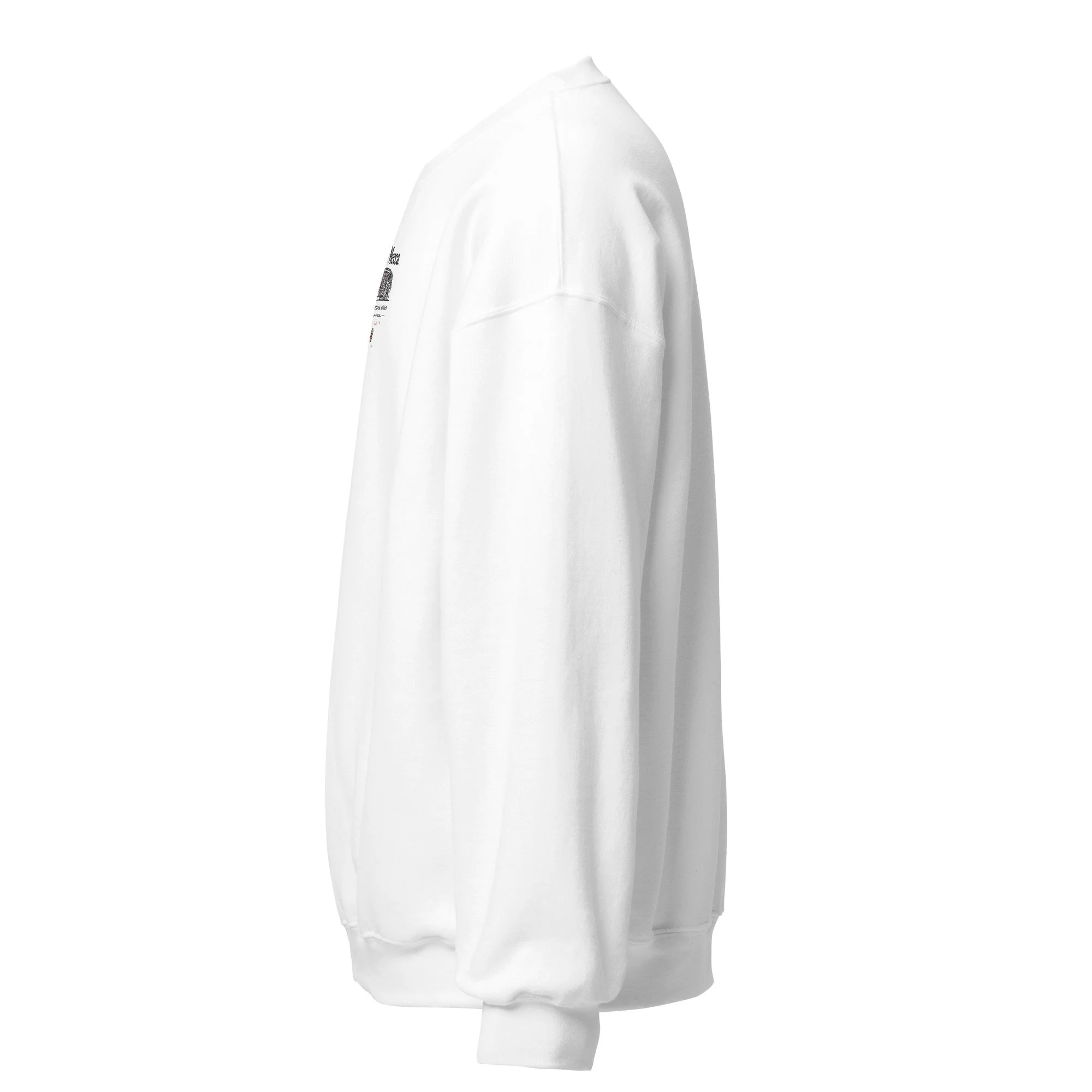 unisex-crew-neck-sweatshirt-white-left-6a656ed1d8974.jpg