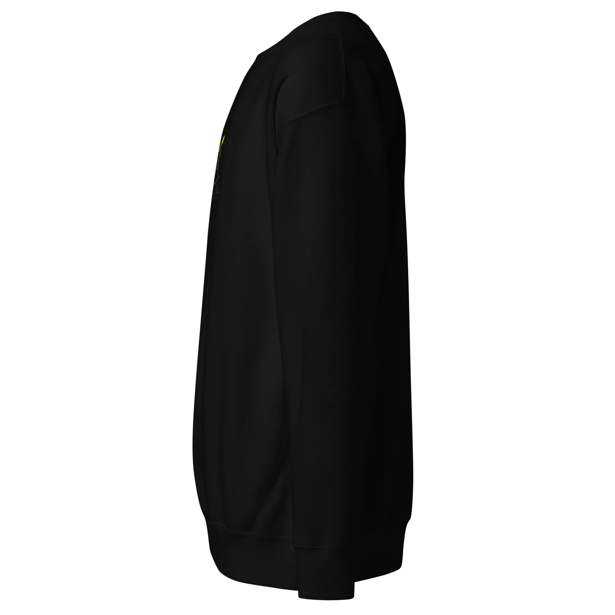unisex-premium-sweatshirt-black-left-6a6bc9f95b256.jpg