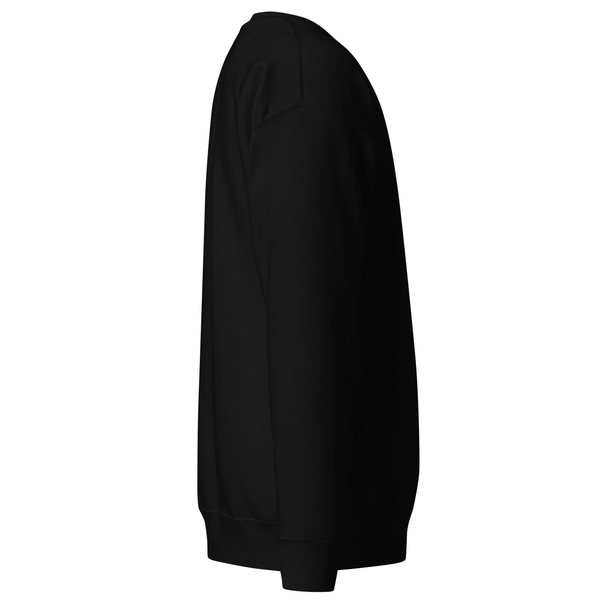 unisex-premium-sweatshirt-black-right-6a6bc9f95b730.jpg