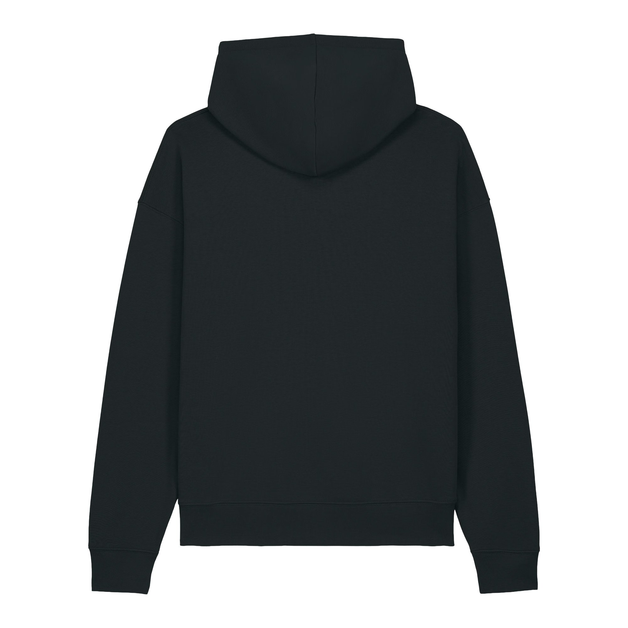 unisex-relaxed-mid-weight-chaser-hooded-sweatshirt-black-back-6a88b89a00dae.jpg