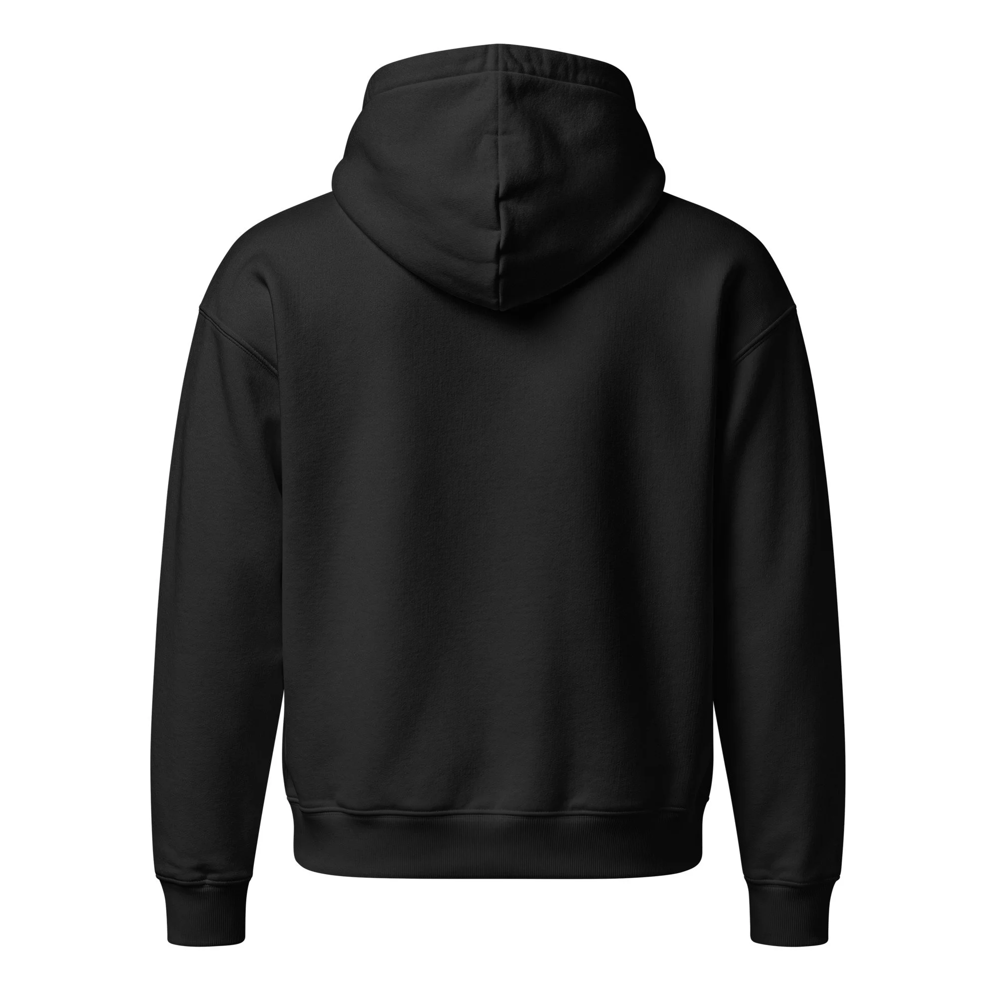 unisex-relaxed-mid-weight-chaser-hooded-sweatshirt-black-back-6a88cb52ab0eb.jpg