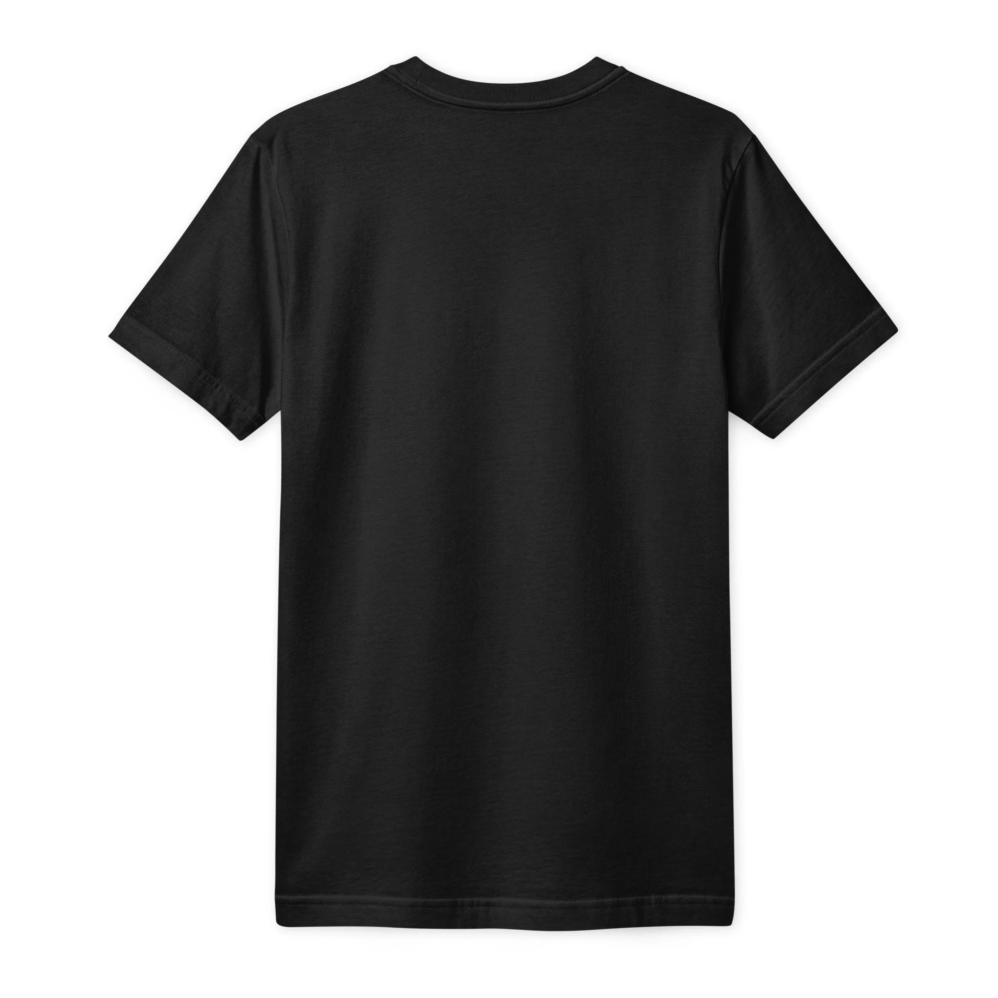 unisex-fine-jersey-t-shirt-black-back-6a8c5d1498baf.jpg