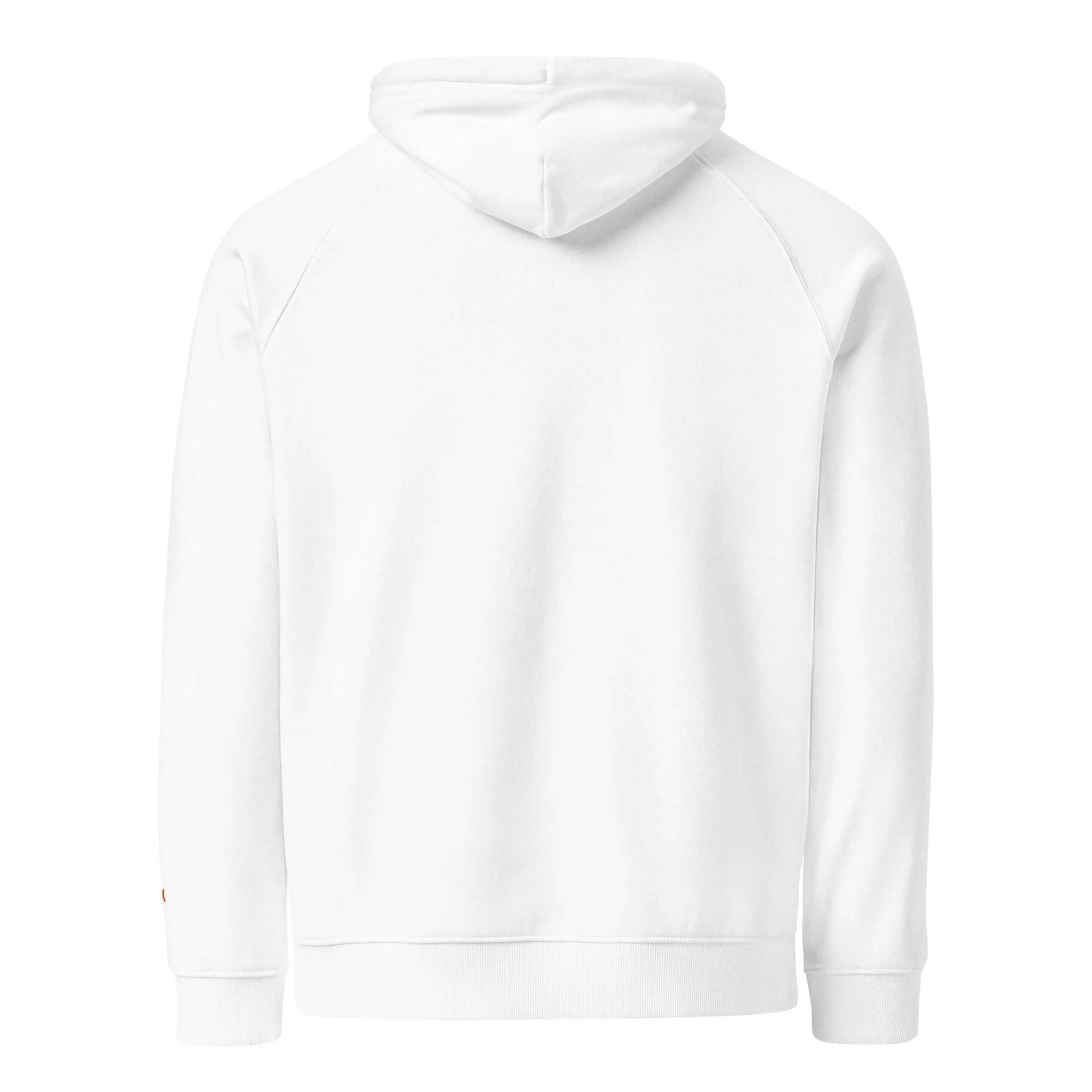 unisex-eco-raglan-hoodie-white-back-6aa3886183ad4.jpg