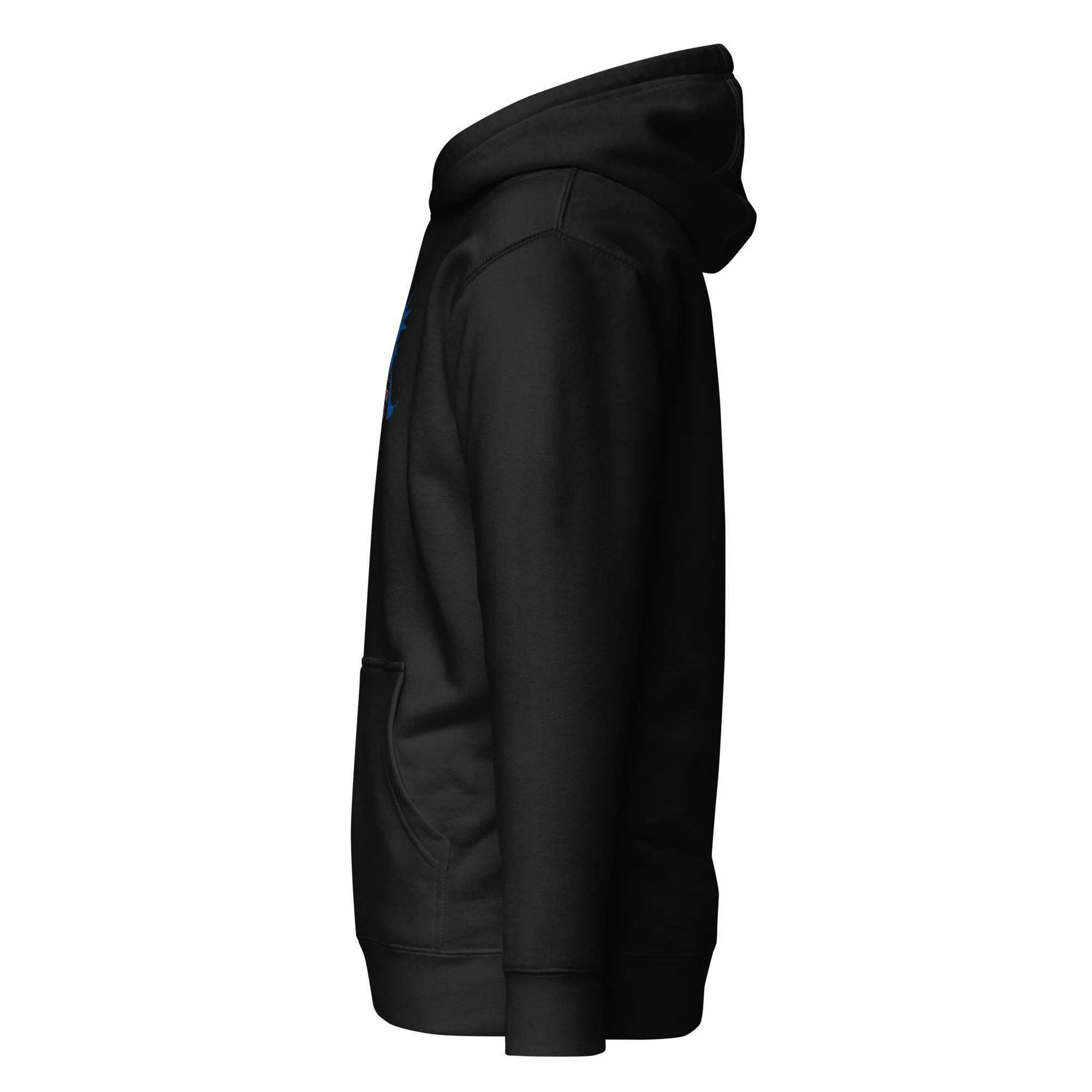 unisex-premium-pullover-hoodie-black-left-6aa3908f44539.jpg