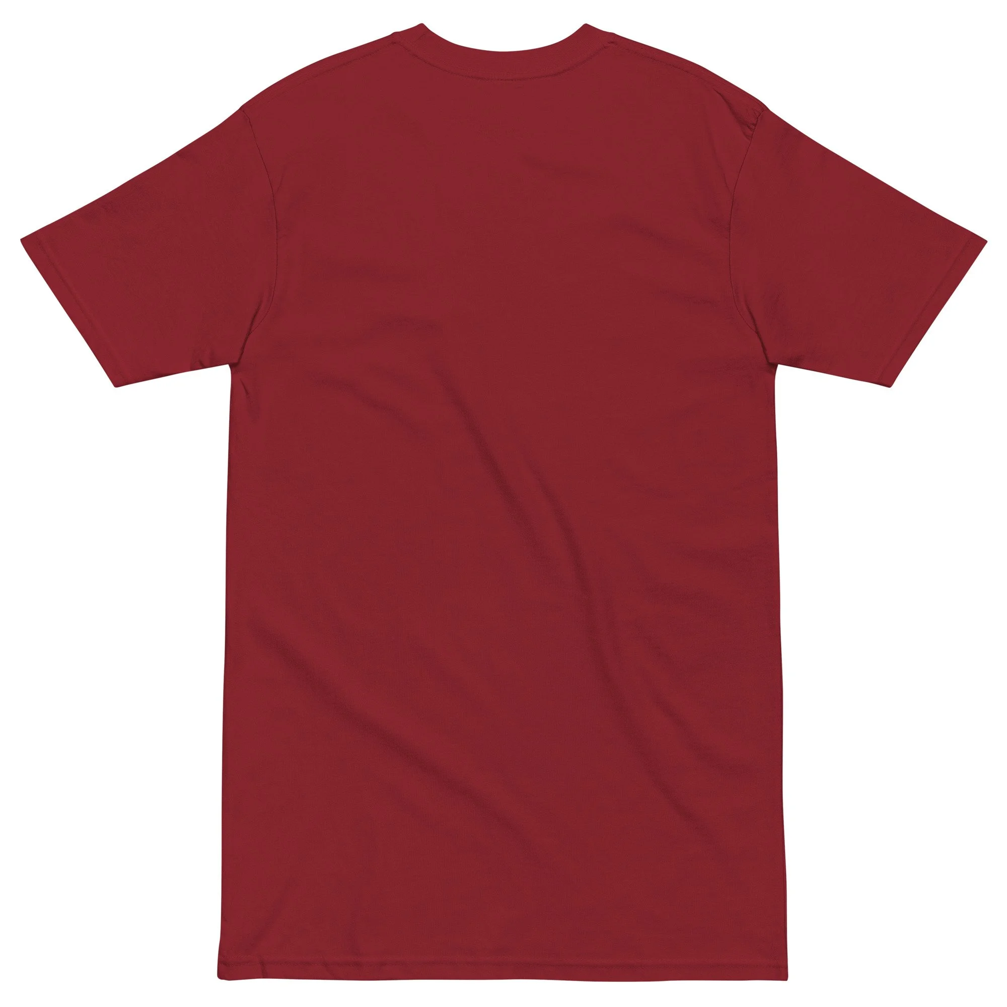 mens-premium-heavyweight-tee-brick-red-back-6adc0e41ed337.jpg