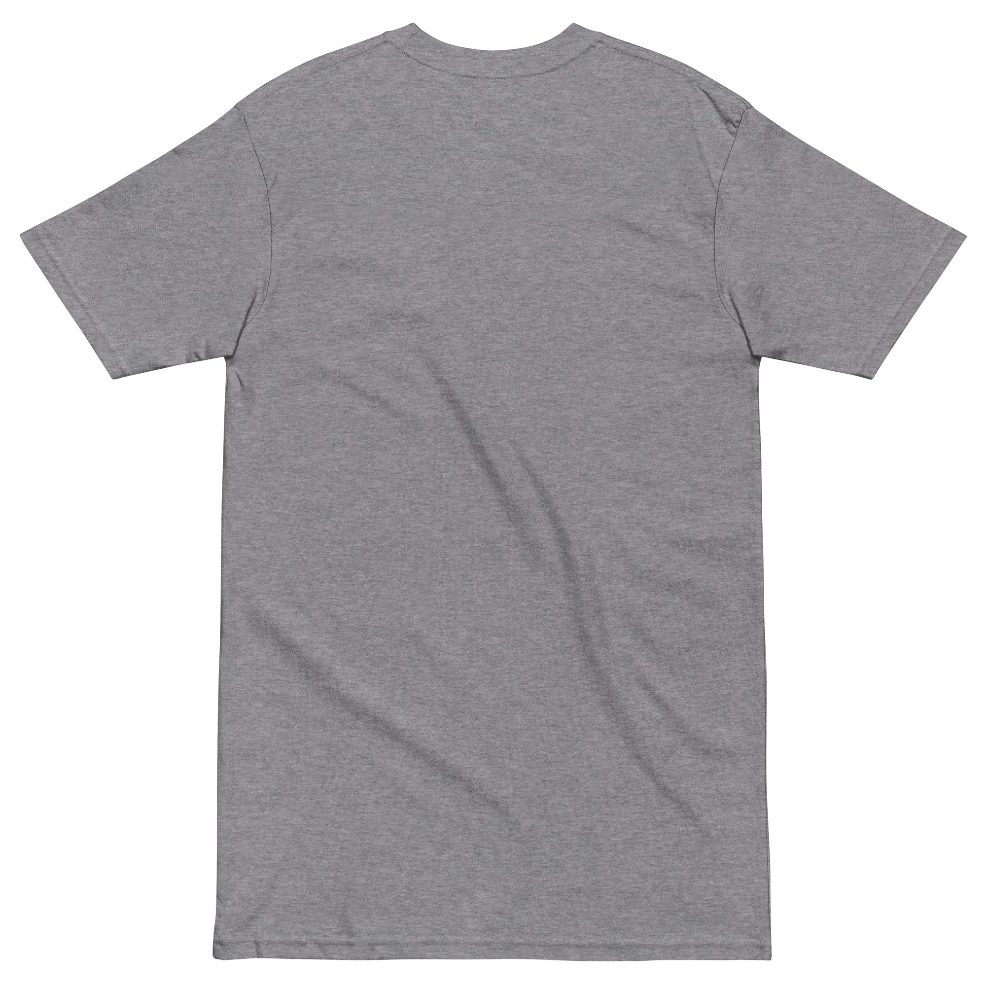 mens-premium-heavyweight-tee-carbon-grey-back-6adc0e41eeb0c.jpg