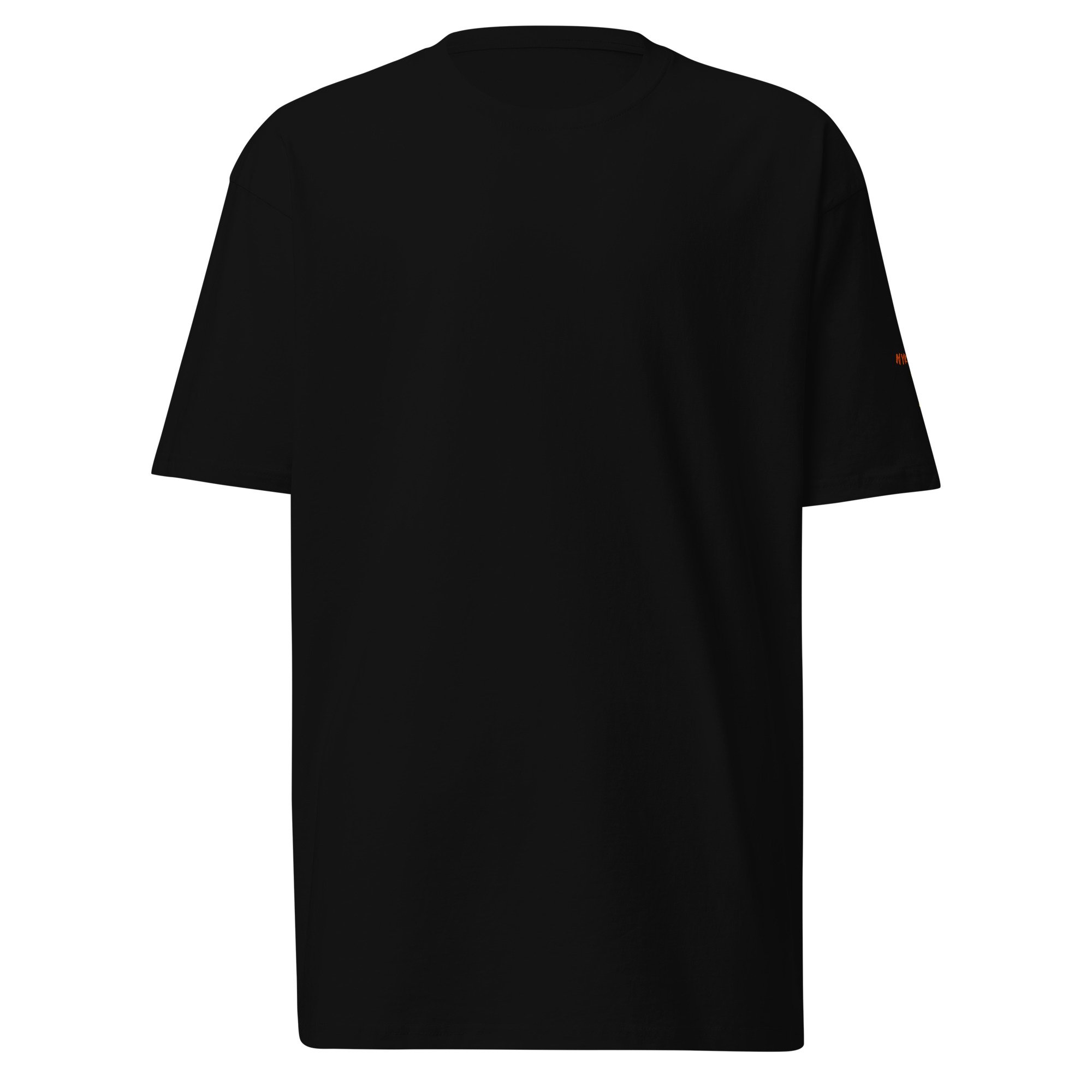 mens-premium-heavyweight-tee-black-front-6ae0a47f7c128.jpg