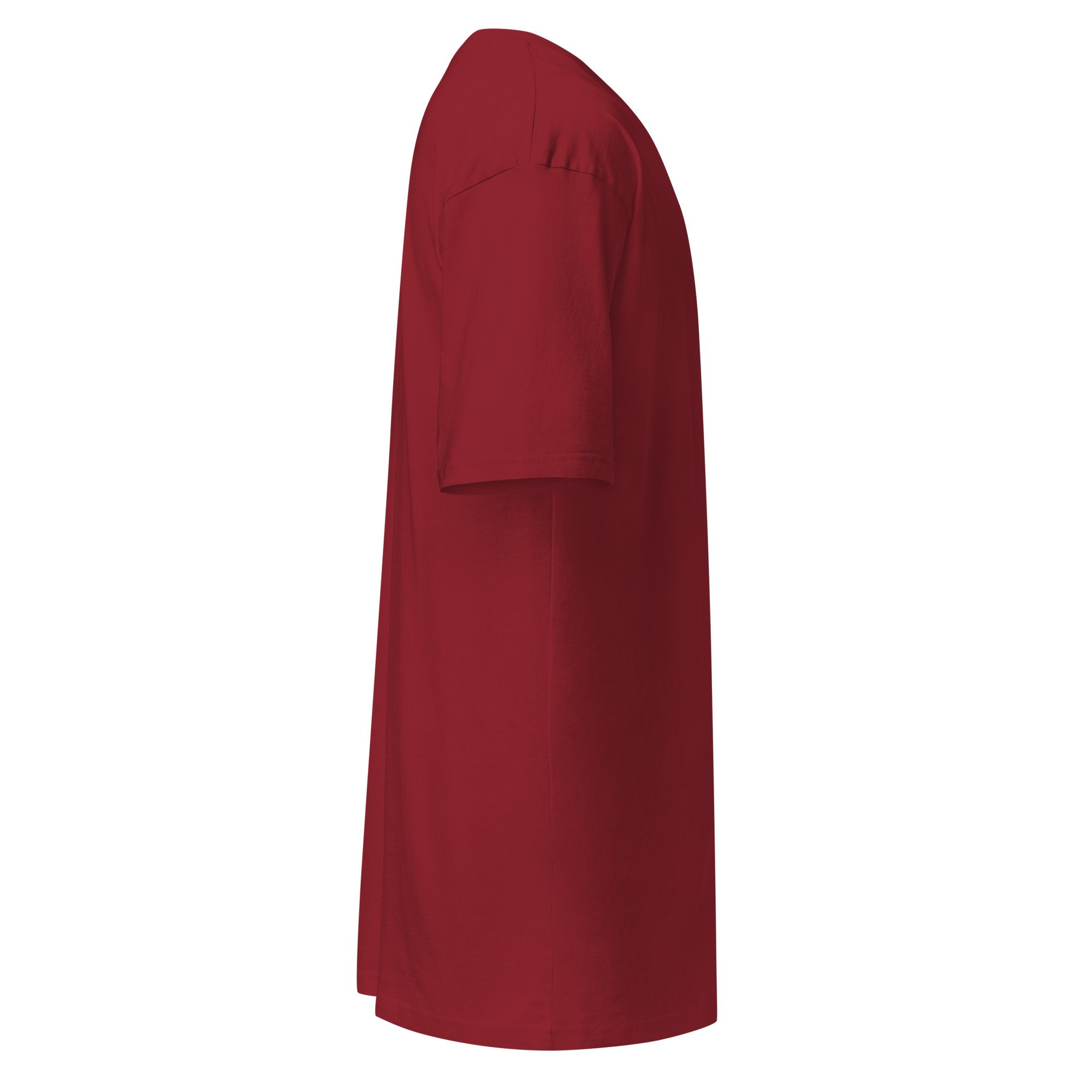 mens-premium-heavyweight-tee-brick-red-right-6ae0a47f7fe2f.jpg