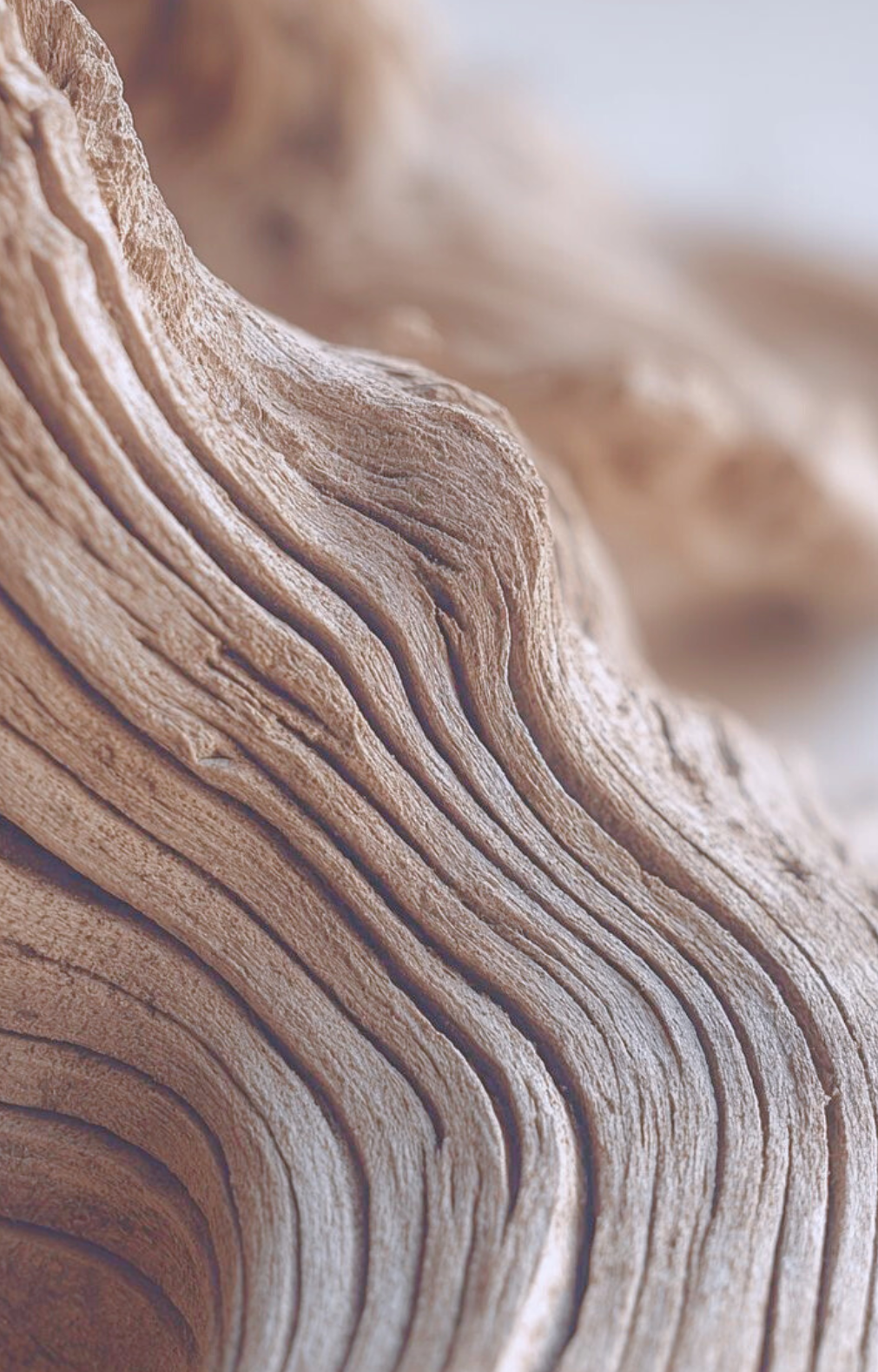 홈페이지 사진 브랜딩 (17).png