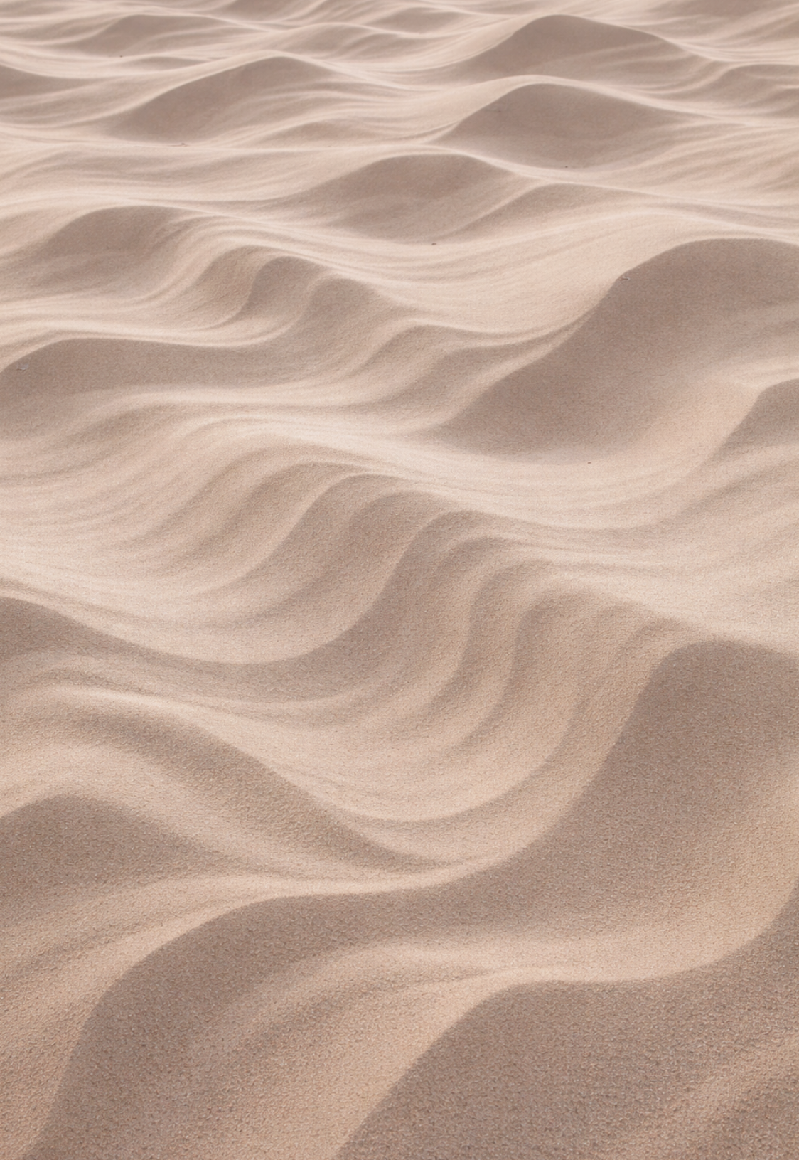 홈페이지 사진 브랜딩 (14).png