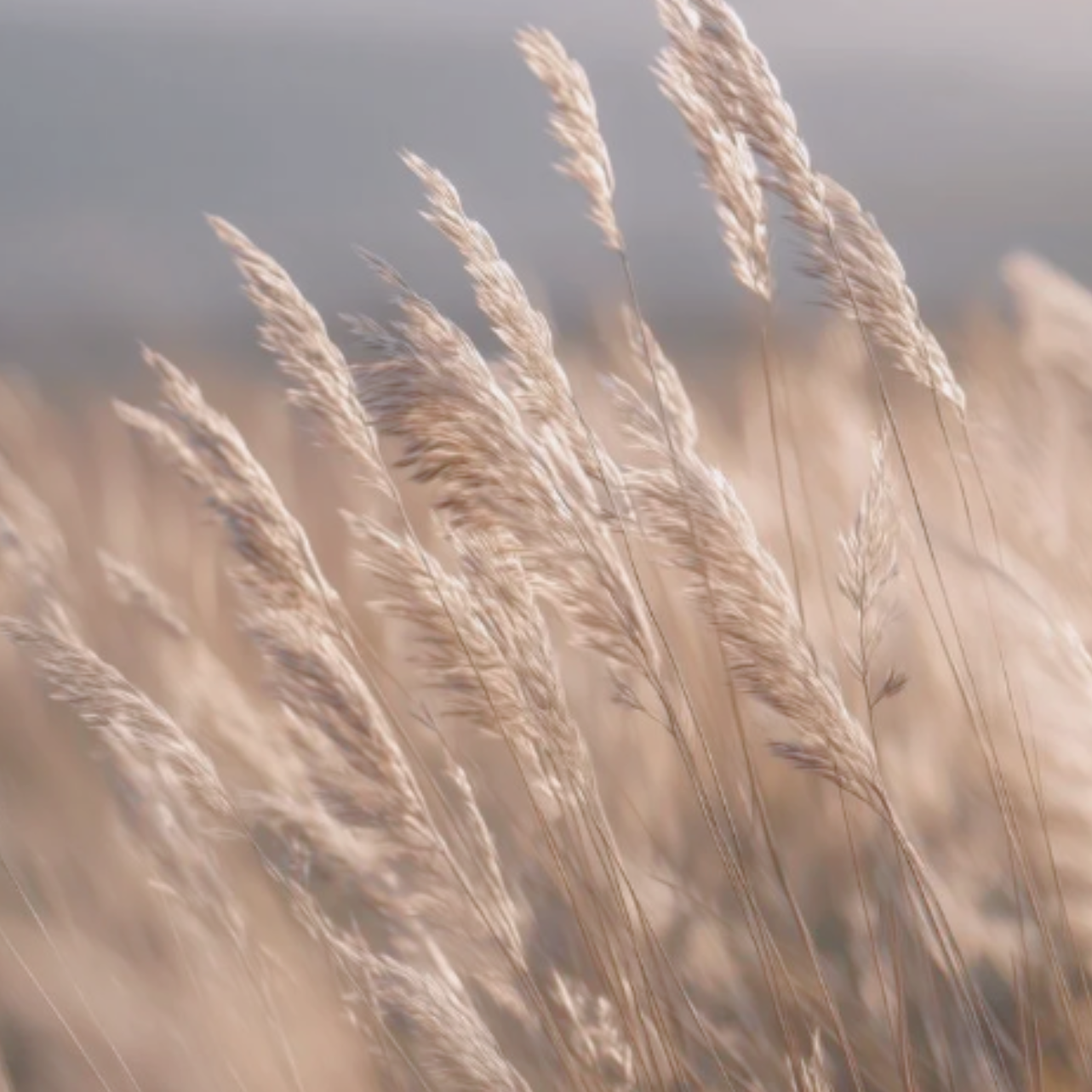 홈페이지 사진 브랜딩 (16).png