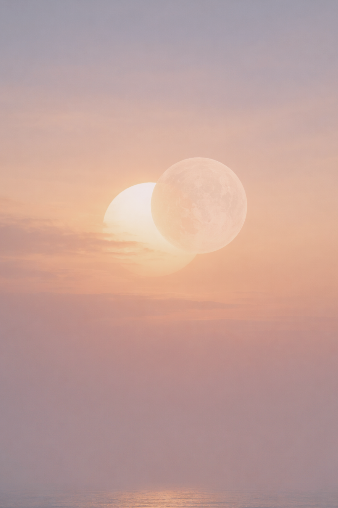 홈페이지 사진 브랜딩 (15).png