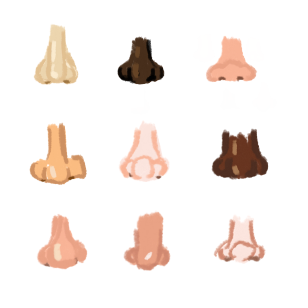 noses.png