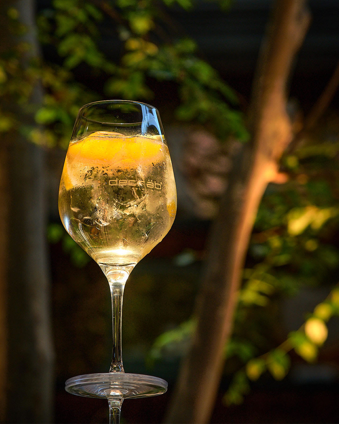 Provenza Spritz_004.png
