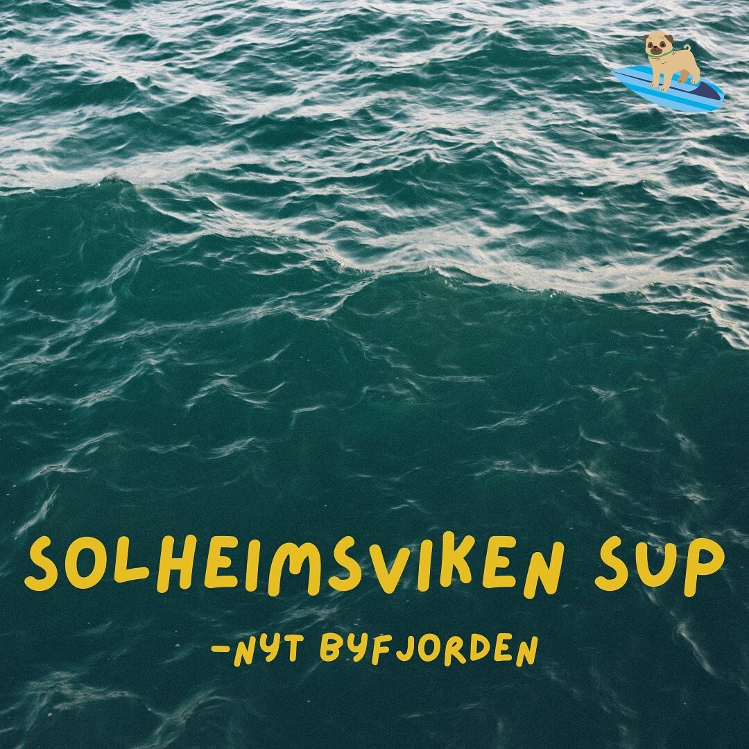 SUP? Midt i byn? Ja. Eg e med.
🏄‍♂️
Book brett direkte fra Instagram eller surf inn i DMen 🏄‍♀️
#SUP #nytbyfjorden