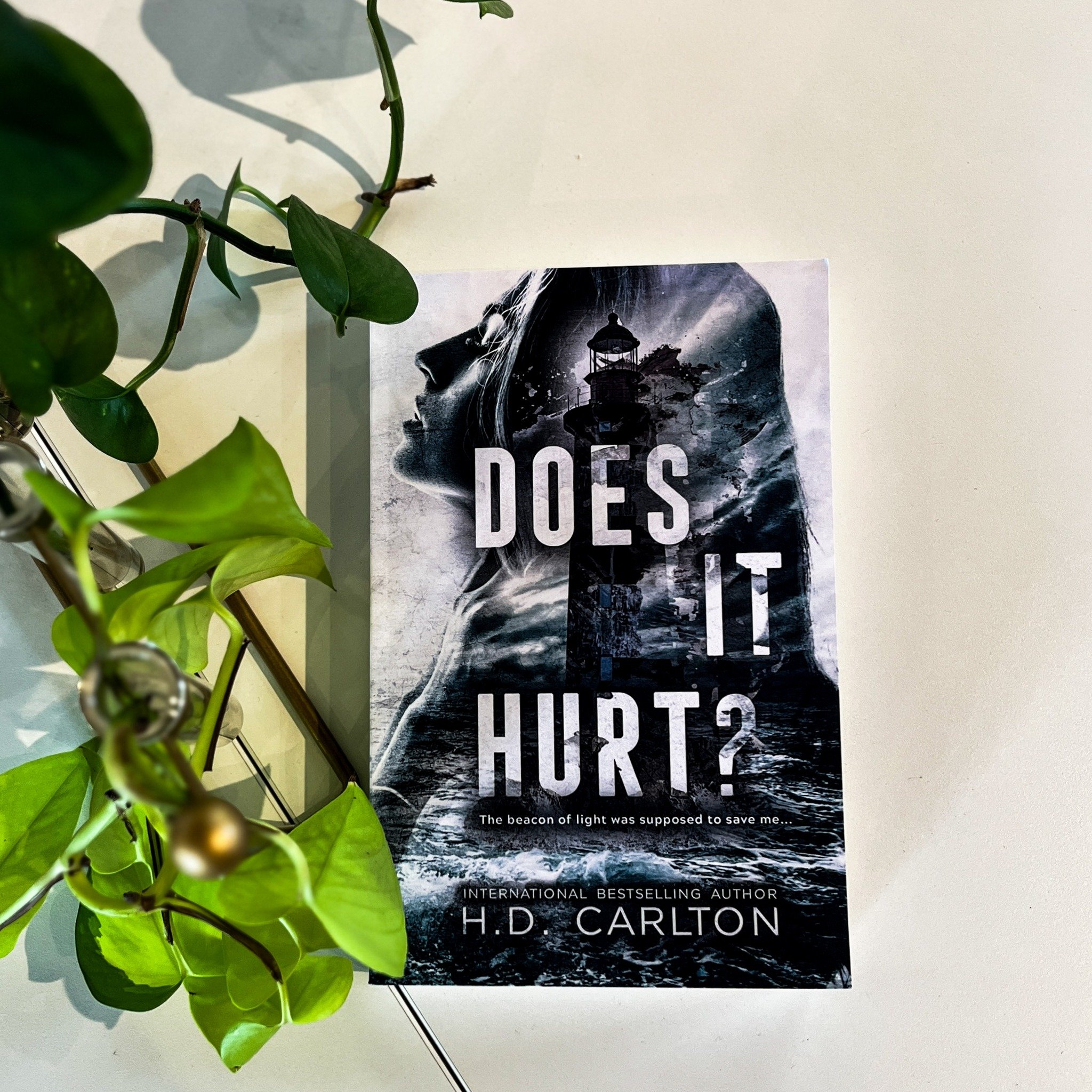 Good morning book friends! For this Wednesday's installment of Verb's Voices we are finding out what Haley has been reading!

&quot;I read &ldquo;does it hurt&rdquo; by H.D. Carlton and it was wild. This book was one that many customers have suggeste