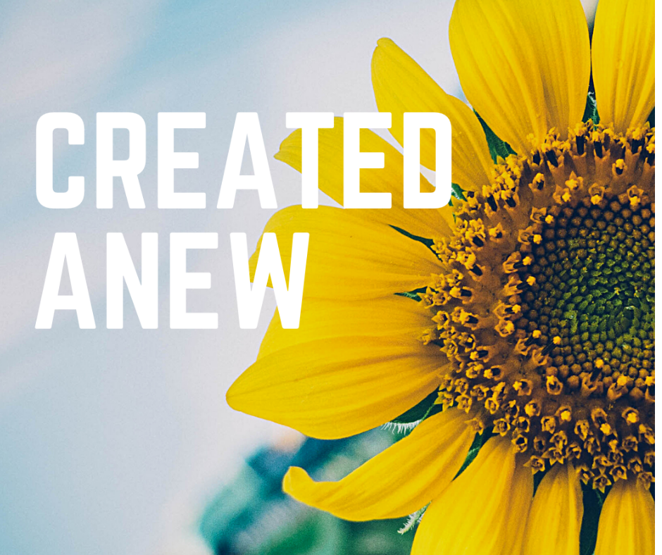 Created Anew