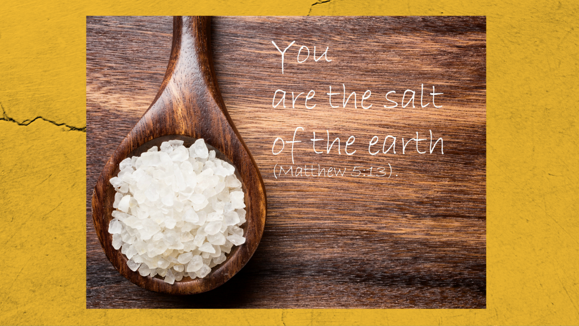 Salt of the Earth