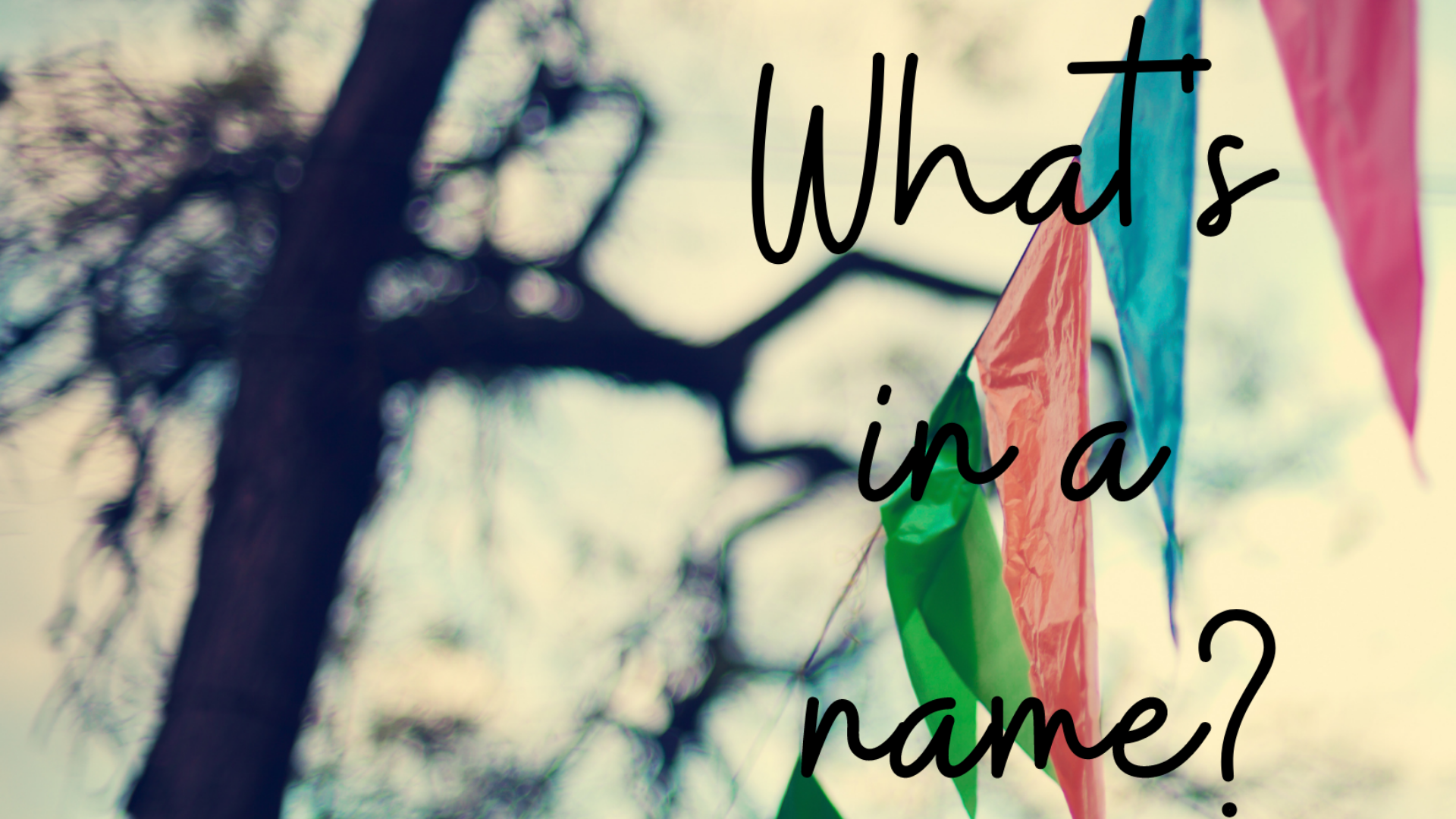 What’s in a name?