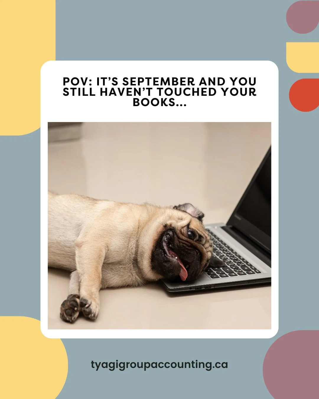 September is the reset button your business needs. 📚✨ ⁠
⁠
Clear your books now so your fall strategy call can focus on growth not digging through old receipts.⁠
⁠
#buildyourbusiness #startupfunding #accountants #businessadvisory #businessstrategist 