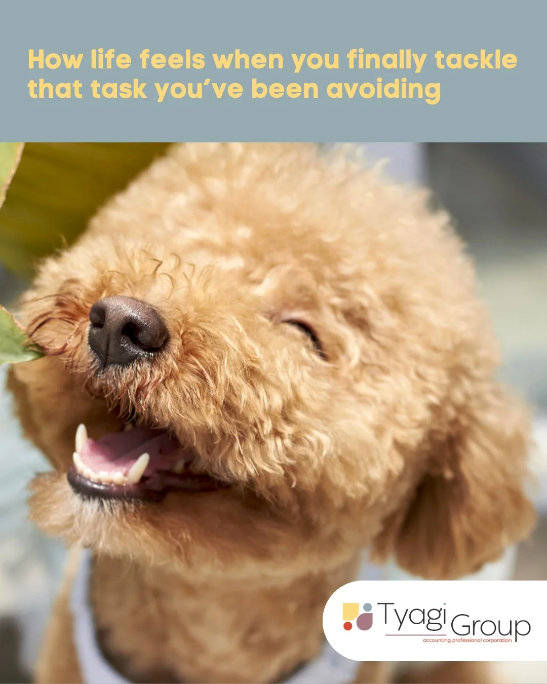 That feeling when you finally tackle the task you&rsquo;ve been avoiding&hellip; 😌📚⁠
For most business owners, it&rsquo;s not the work that&rsquo;s stressful, it&rsquo;s the unfinished work.⁠
⁠
Setting yourself up for success for year-end looks lik