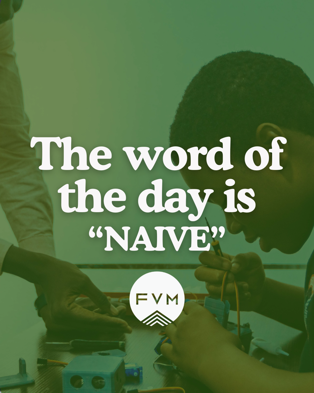 The Word of the Day is Naive