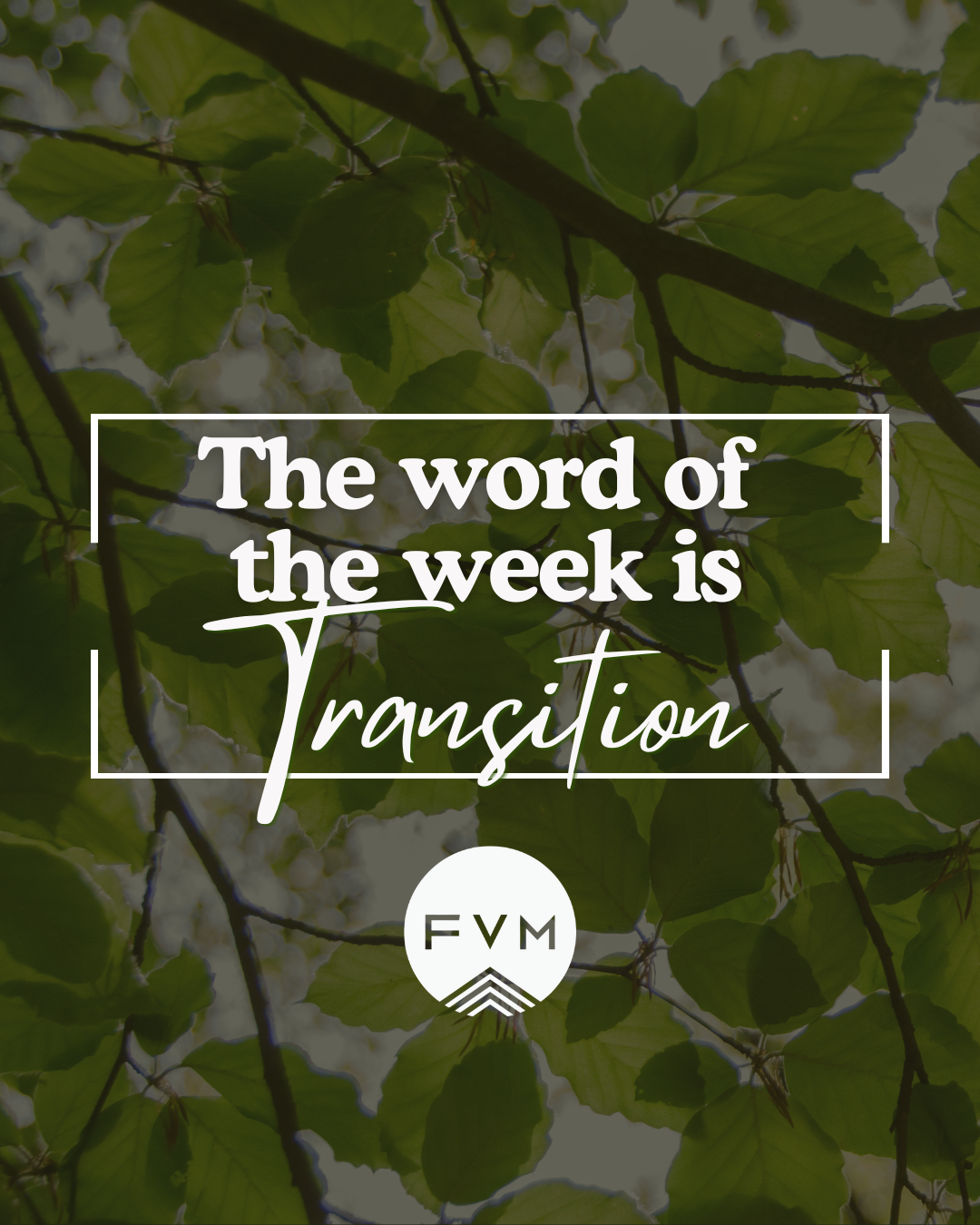 The Word of the Week is Transition