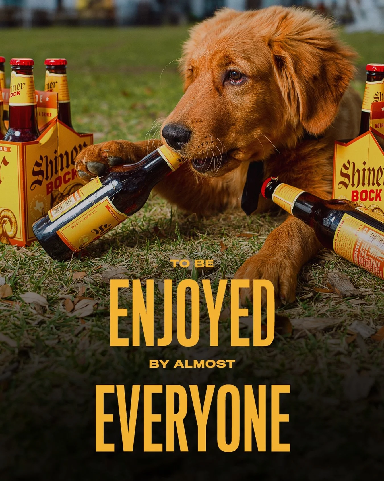 Good boy. Great beer. Perfect combo. 🍺🐶