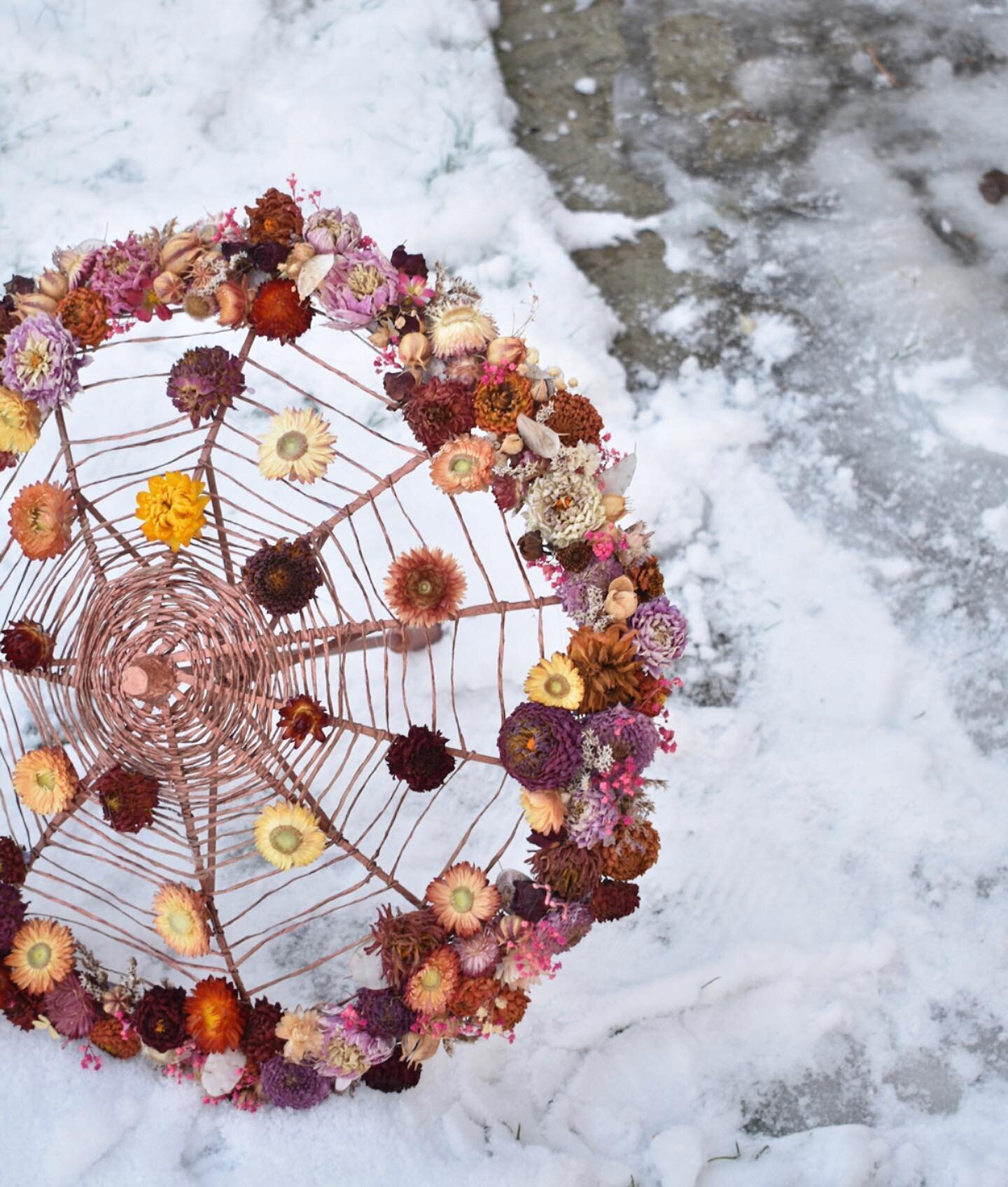 Convex umbrella in the snow ❄️ (for uni portfolio) dried dahlias supplied by @saxongateflowers