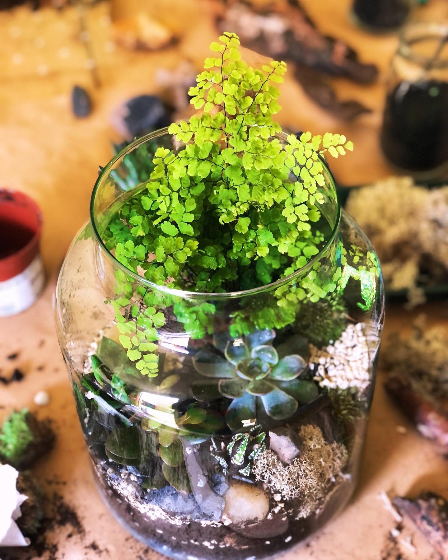 At the weekend we had a fun workshop making plant terrariums with students 🌿🪴🌸

Using moss, bark, pebbles, crystals, ferns &amp; succulents - each terrarium was totally unique and special 🌿

Our next workshop is Saturday 8th June - to book, follo