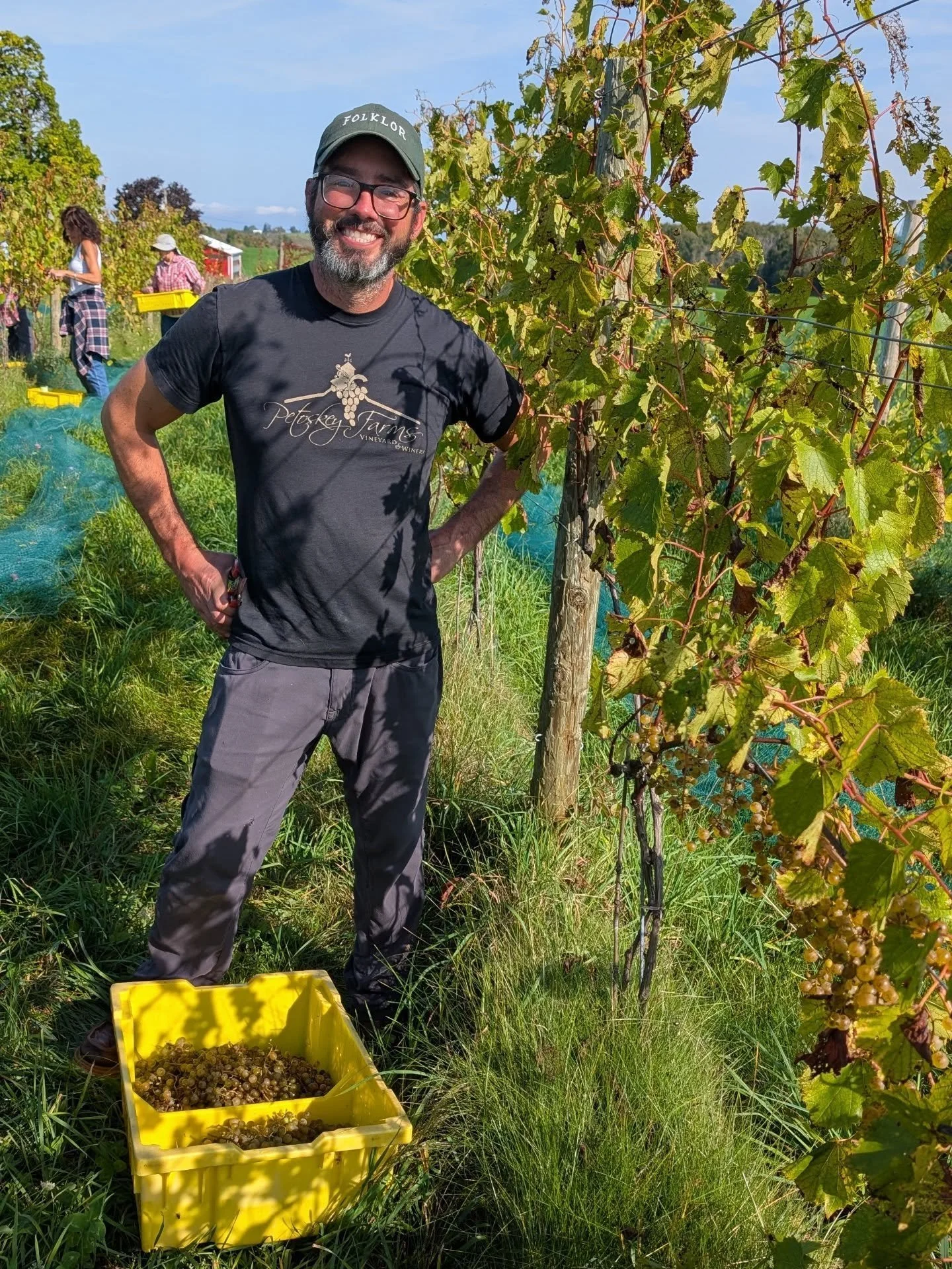We picked our Osceola Muscat on a beautiful sunny Saturday.&nbsp;

Thank you to our wonderful volunteers who helped us pick 1,000 lbs in under 3 hours.&nbsp;

The majority of the grapes are going into our Ode to Home apple-grape cofermentation&nbsp;t