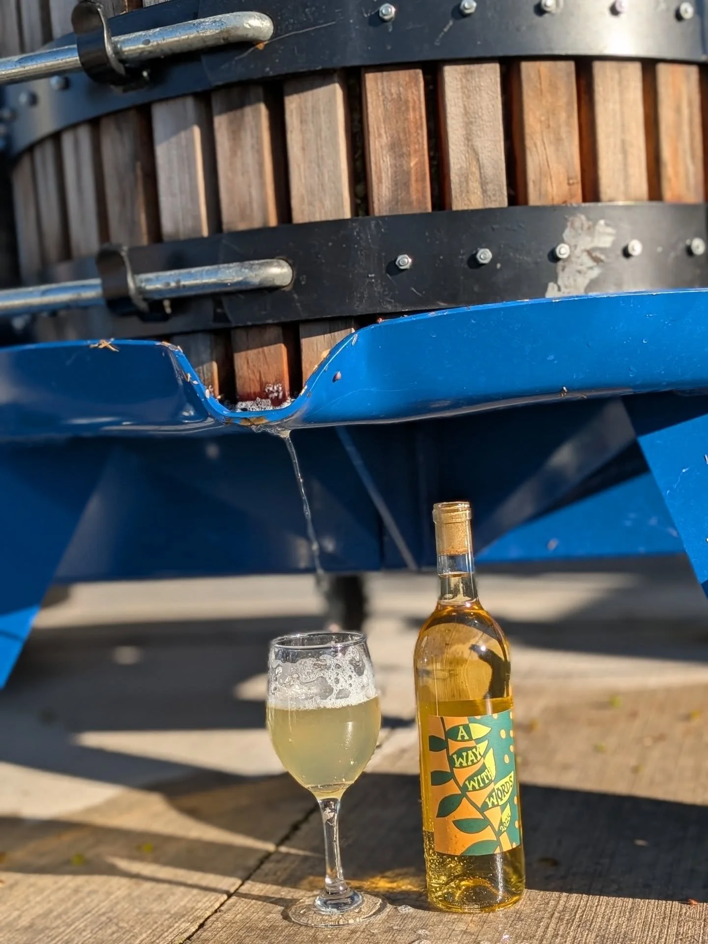 We released a couple very special wines to our wine club recently made with 100% estate grapes that have been farmed using all organic farming practices since we planted them in 2021. 
The hot, dry growing season in 2024 let us experience the potent