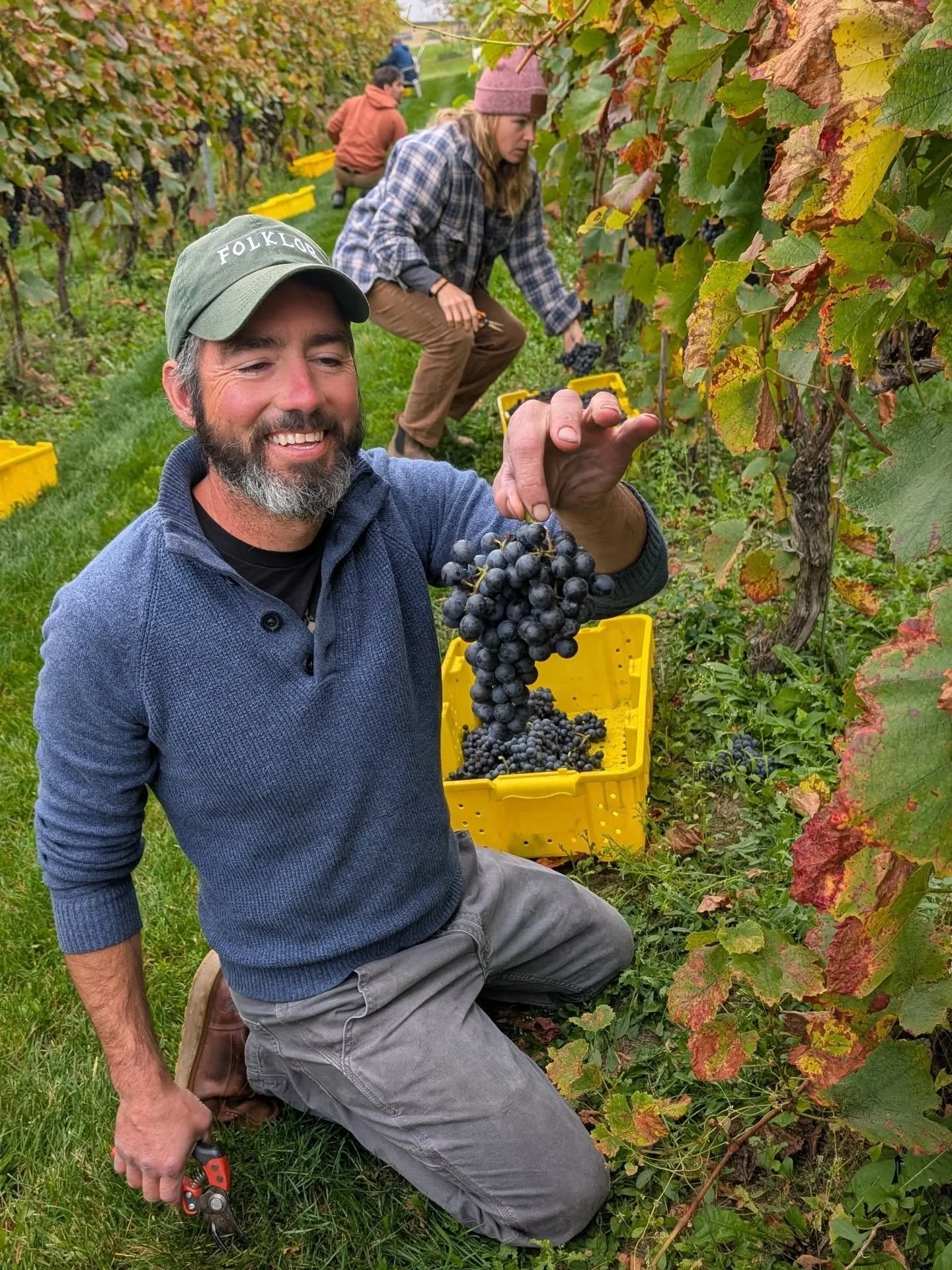 Blaufrankisch harvest throwback 🍇✨

While we're waiting for our estate Blaufrankisch vines to start producing, we brought in almost 2 full tons of Blau from Lakeview Hill Farms this year. Big thanks to Ken &amp; Sandy who manage this vineyard, and t