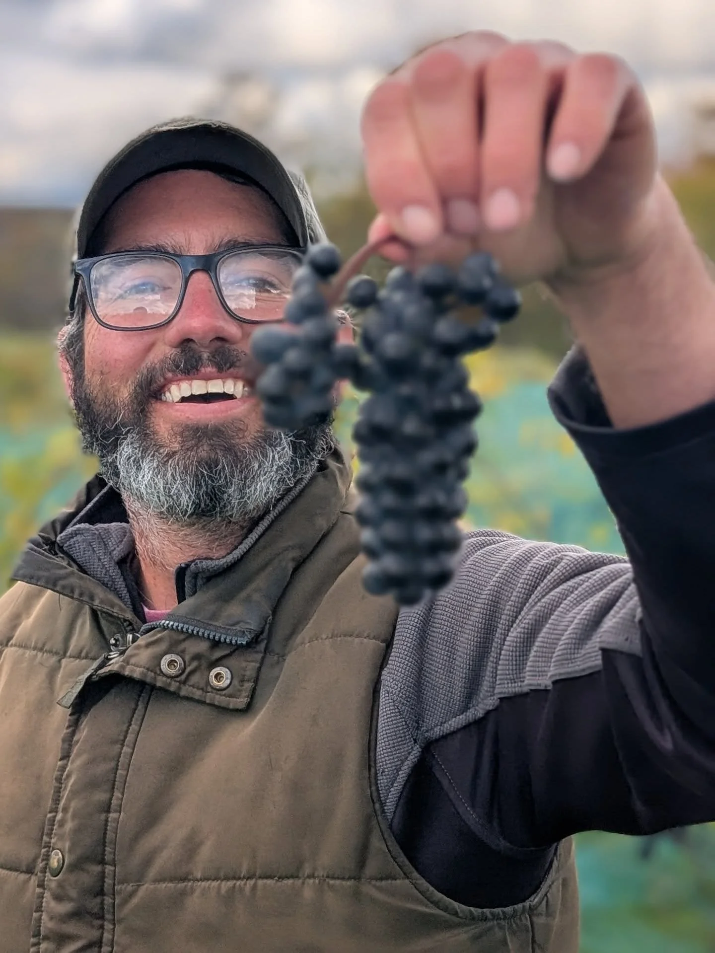 There may still be snow on the ground, but we're still reminiscing&nbsp;about harvest 🍇✨

We're so excited to be making our estate red blend of Zweigelt and Marechal Foch again this year. We picked the Zweigelt on October 16... the same day we had o