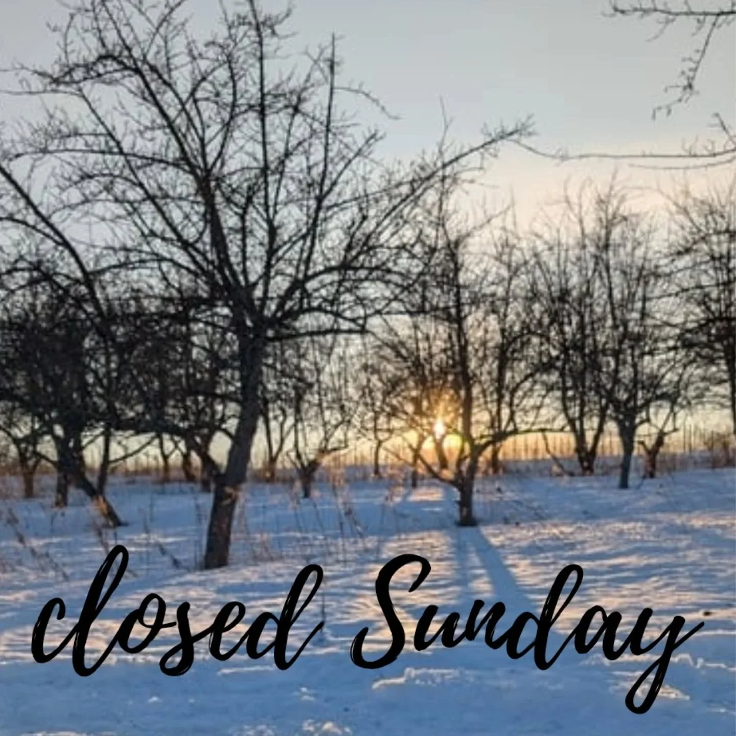 Hey folks, we need to close tomorrow, Sunday 12/28. Sorry for any inconvenience.&nbsp;

Regular hours today! Derrick will be in the tasting room 11:00-5:00 Saturday, and tastings by appointment during the week - call or text 231-758-4740 to book.