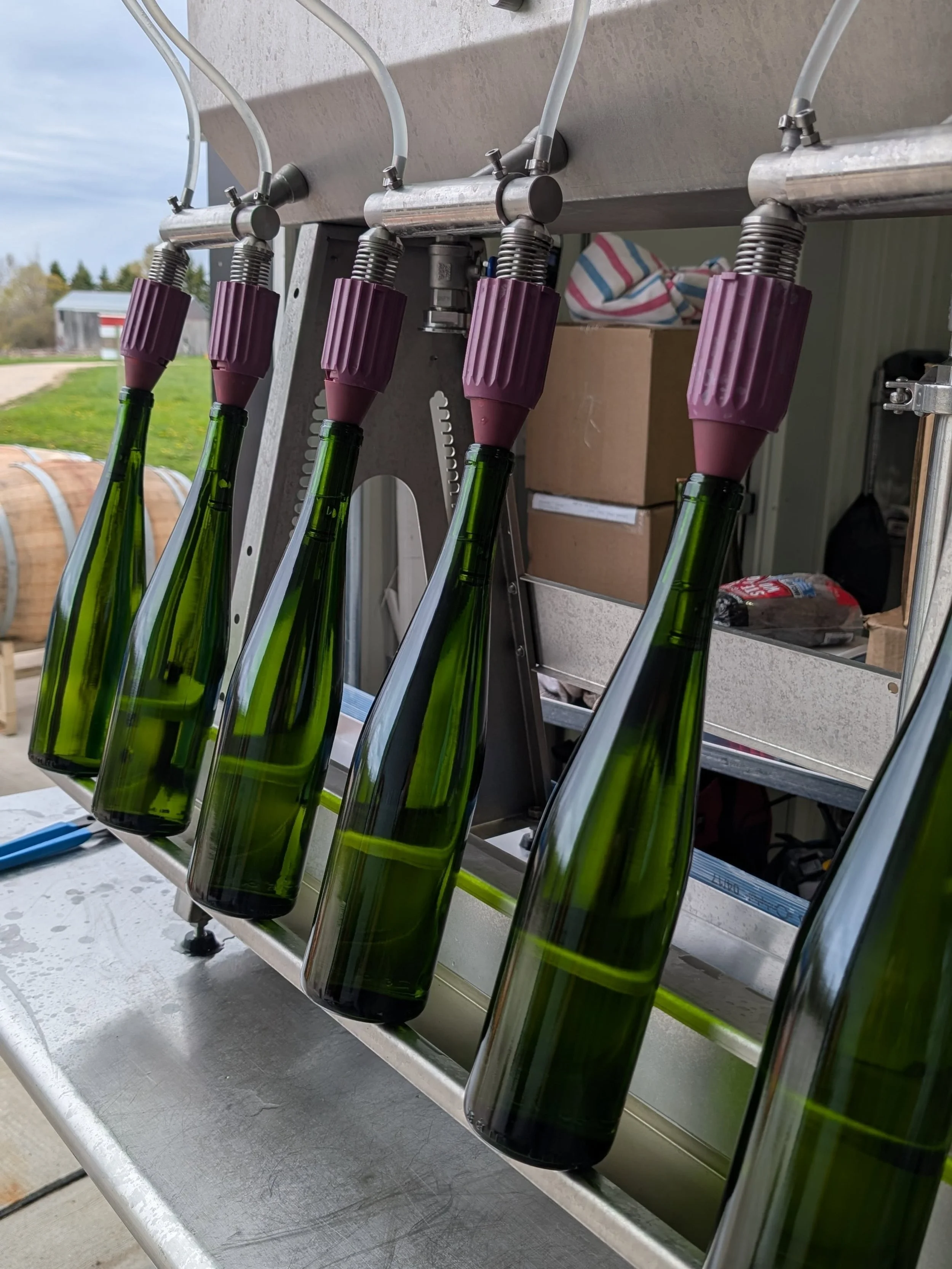 Another new chapter? Bottling!&nbsp;

2025 was our largest production year to date with nearly 1,000 cases of wine and another 600 gallons of cider. By a lot of wineries' standards, that's teeny tiny, but for this two person vigneron crew, it feels l