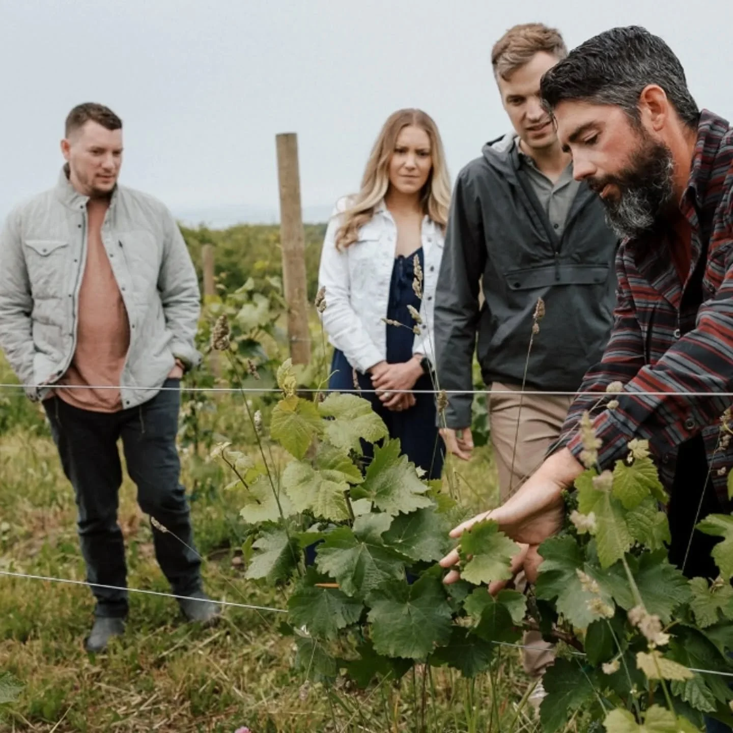 Farm Tours &amp; Tasting reservations are open for the 2026 season at&nbsp;folklorwinecider.com/reservations!&nbsp;

Why should you book a Tour &amp; Tasting? It is the best experience we can offer you. We slow things down, talk about what makes farm