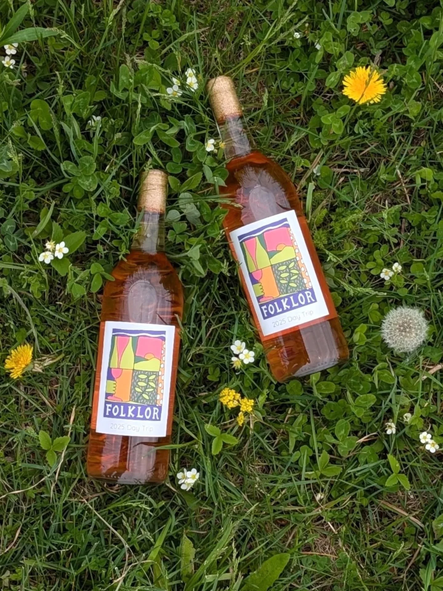 2025 Day Trip Ros&eacute; is here!

This wine is made with 100% Zweigelt, a red grape variety from Austria, grows beautifully in Northern Michigan. 

It makes for a spicy, rustic ros&eacute; with generous aromatics. Drinking it reminds us of June str