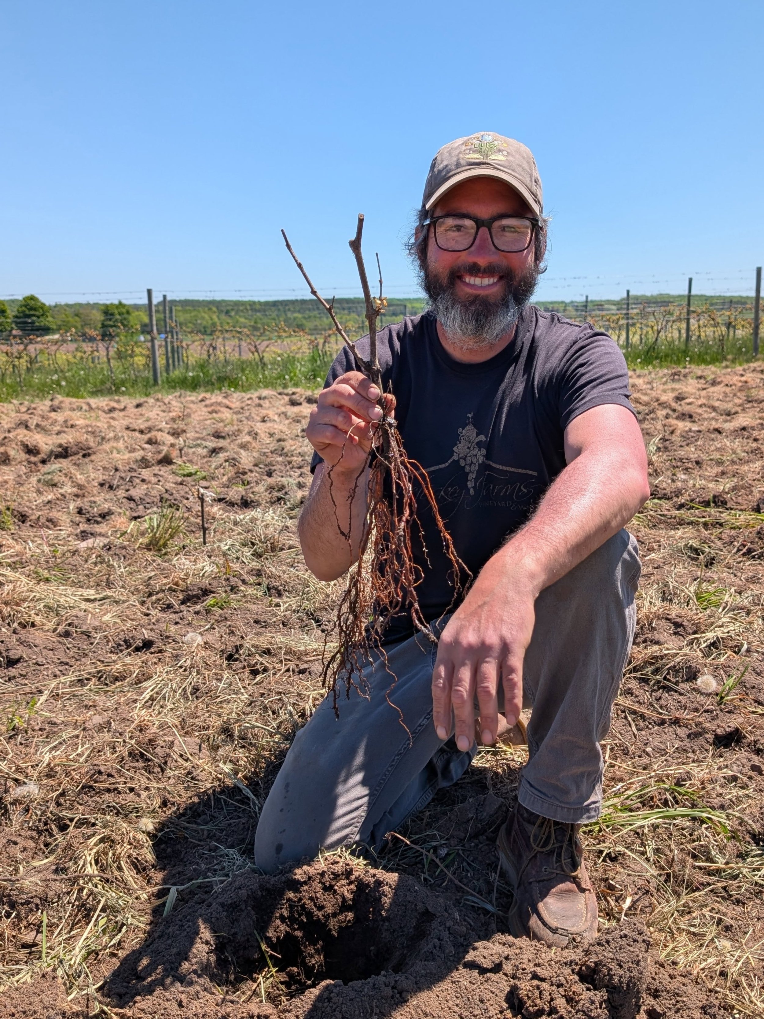 Some scenes from the farm this week. We're growing in all sense of the word 🌱

1,600 new vines going in of L'Acadie Blanc, Zweigelt and even a little Pinot Noir 🍇

We have healthy growth on most of the vines, although with the cooler spring it's be