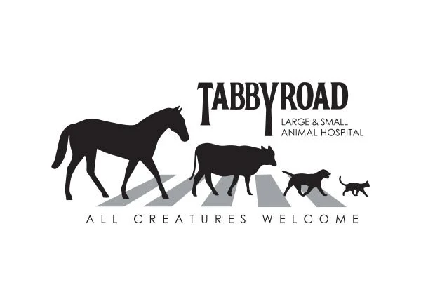 Tabby-Road.jpg