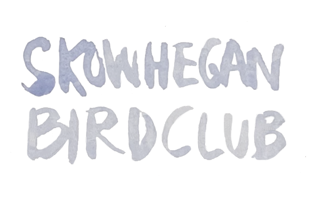 Skowhegan Bird (And Nature) Club