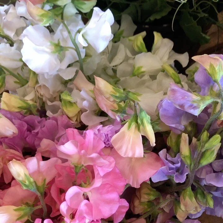 Flowers by Shamay Private Floral Designer in Anacortes, WA