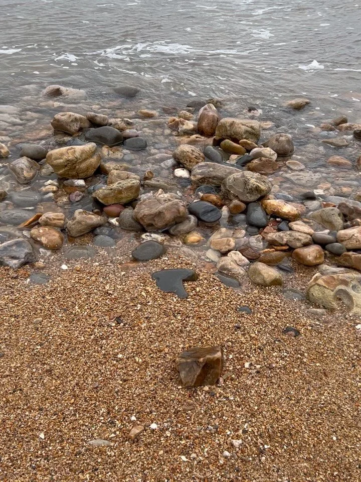 Postcards from the coast : Charmouth and Lyme Regis