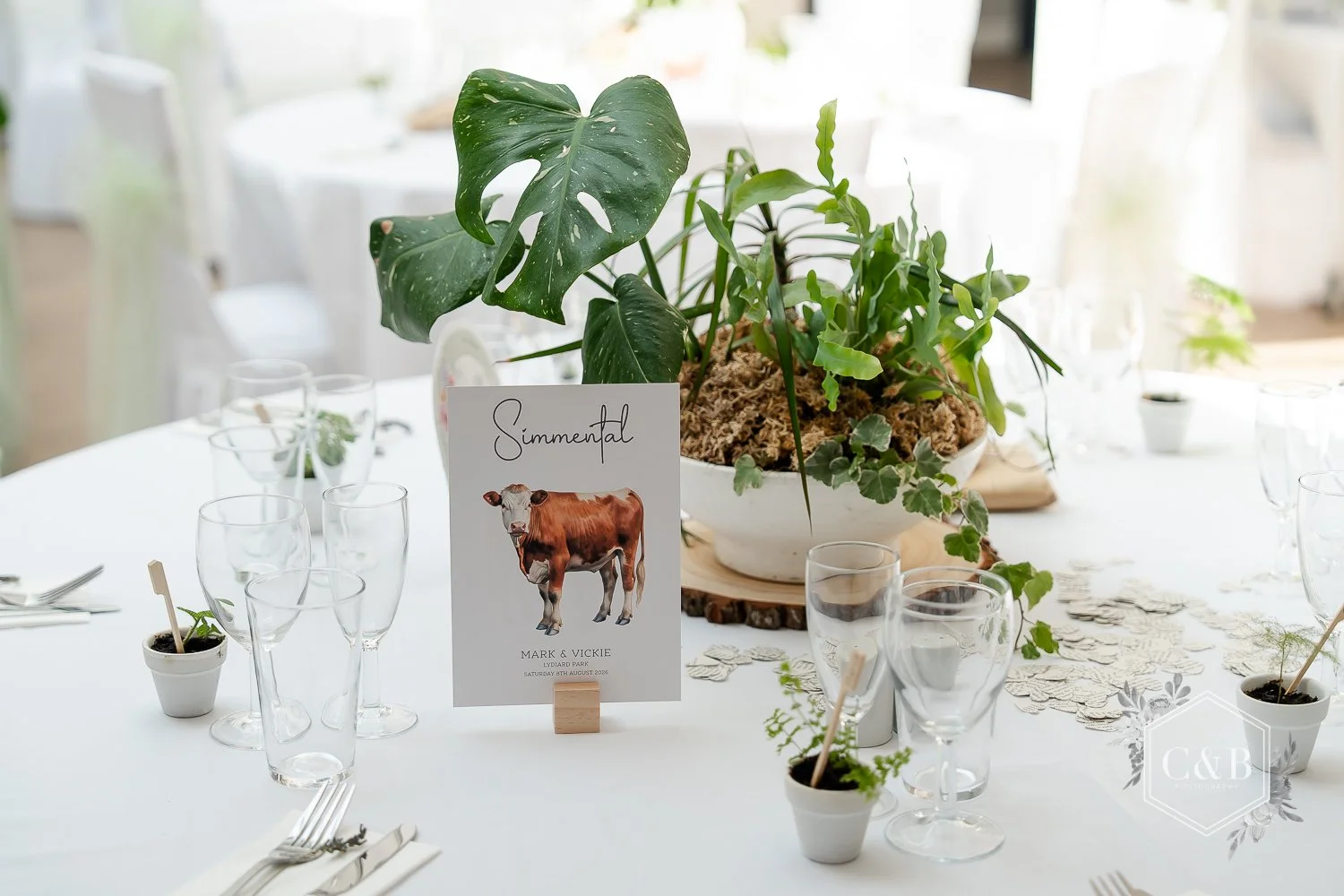 lydiard-house-wedding-photography-008.jpg
